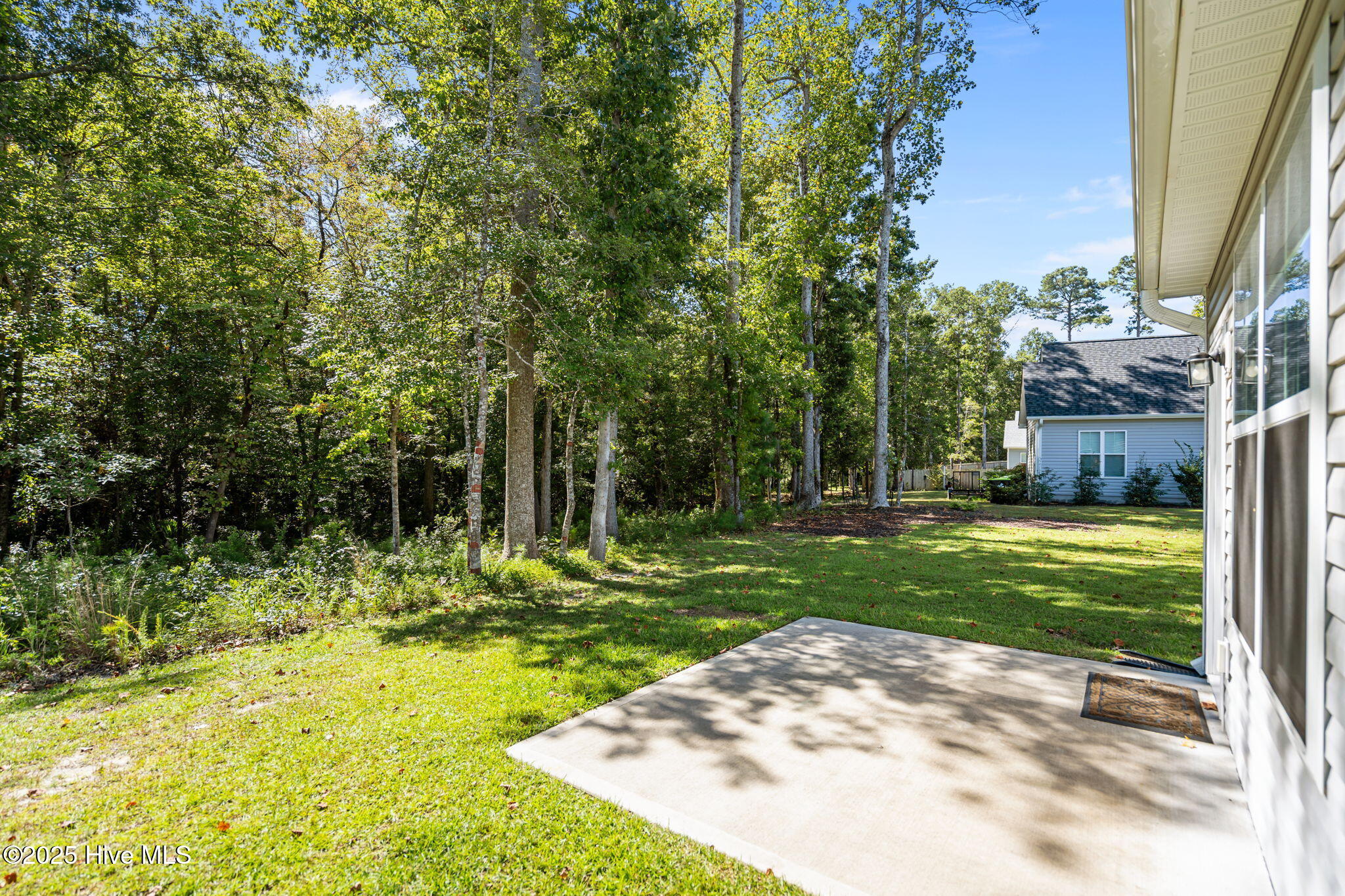 100528737 | Photo 44