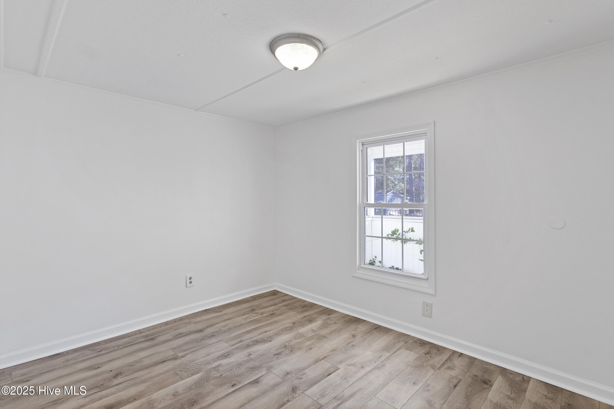 100545397 | Photo 15