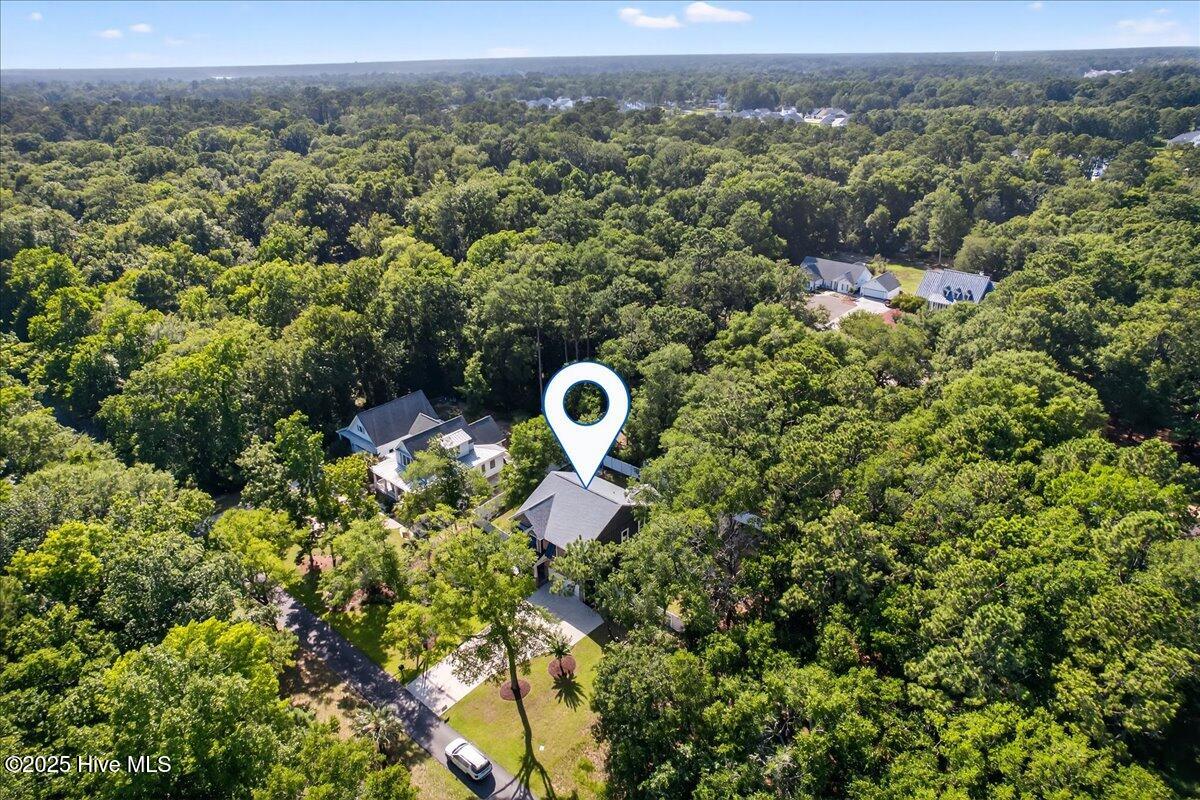 100514096 | Photo 84