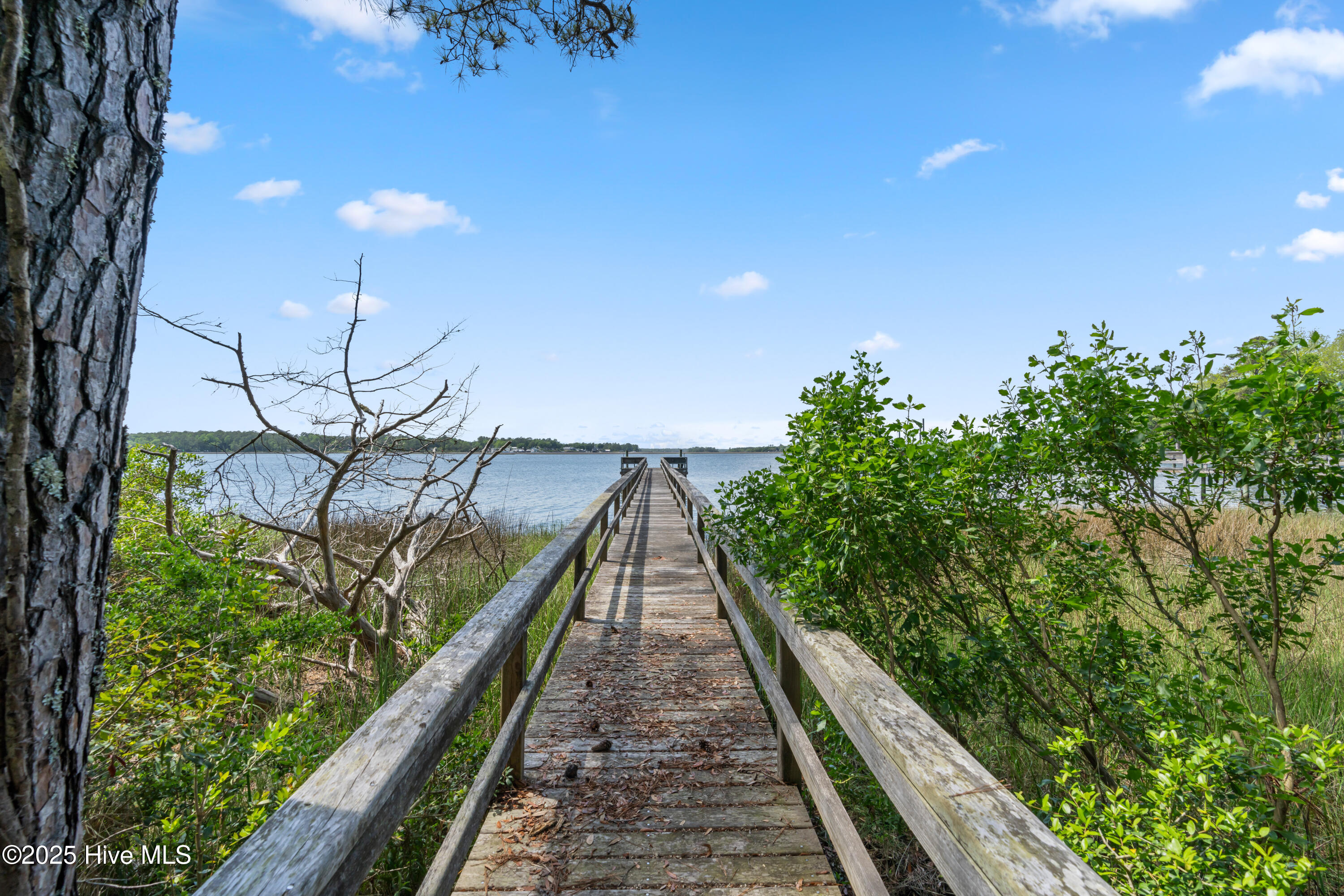 100570378 | Photo 56