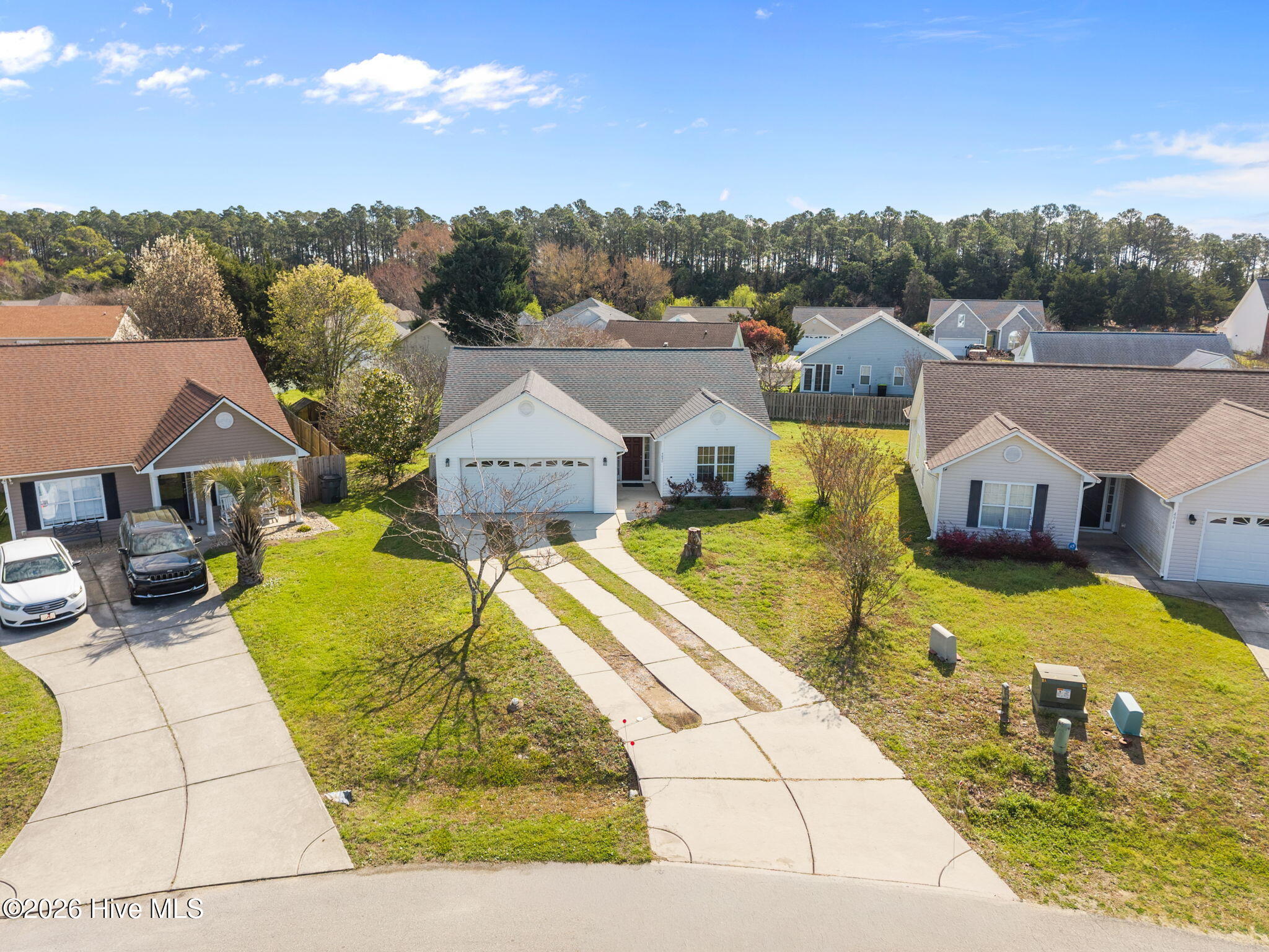 100560946 | Photo 48