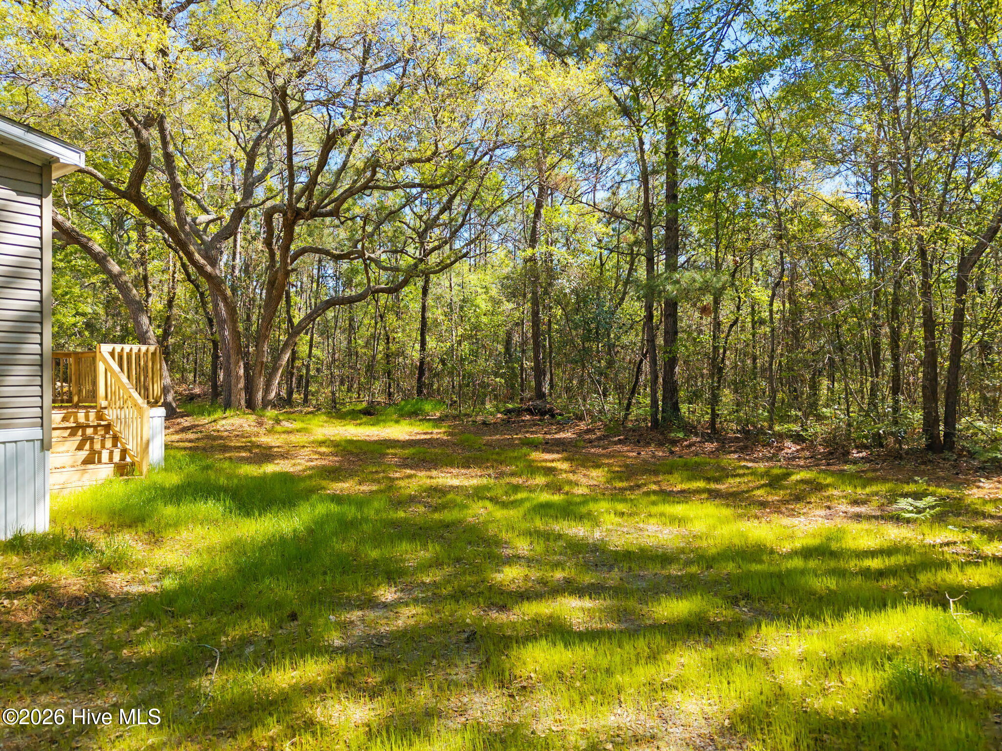 100569950 | Photo 28