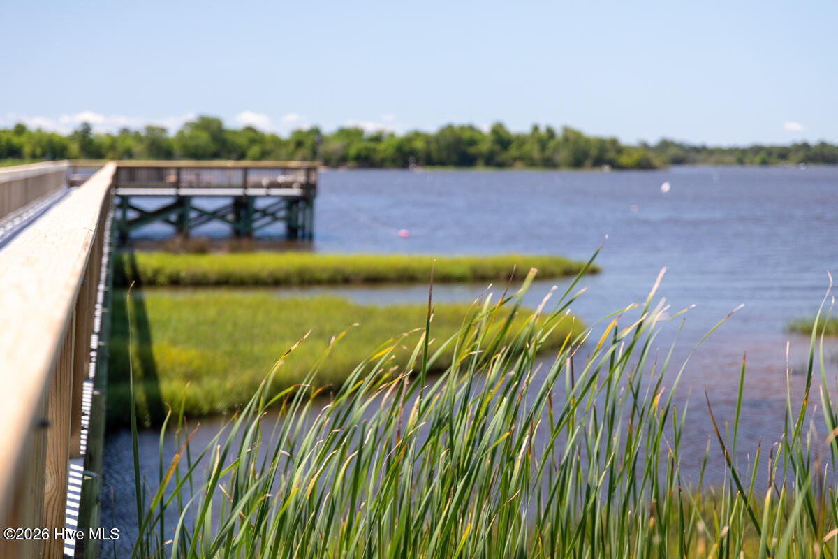 100501651 | Photo 42