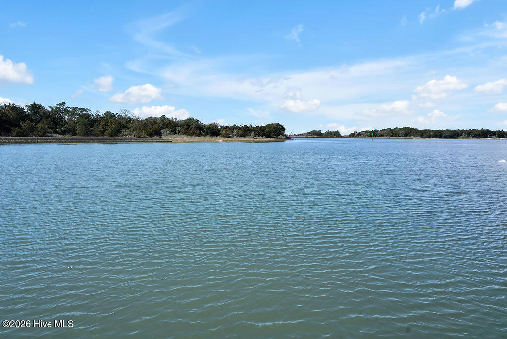 100559547 | Photo 39