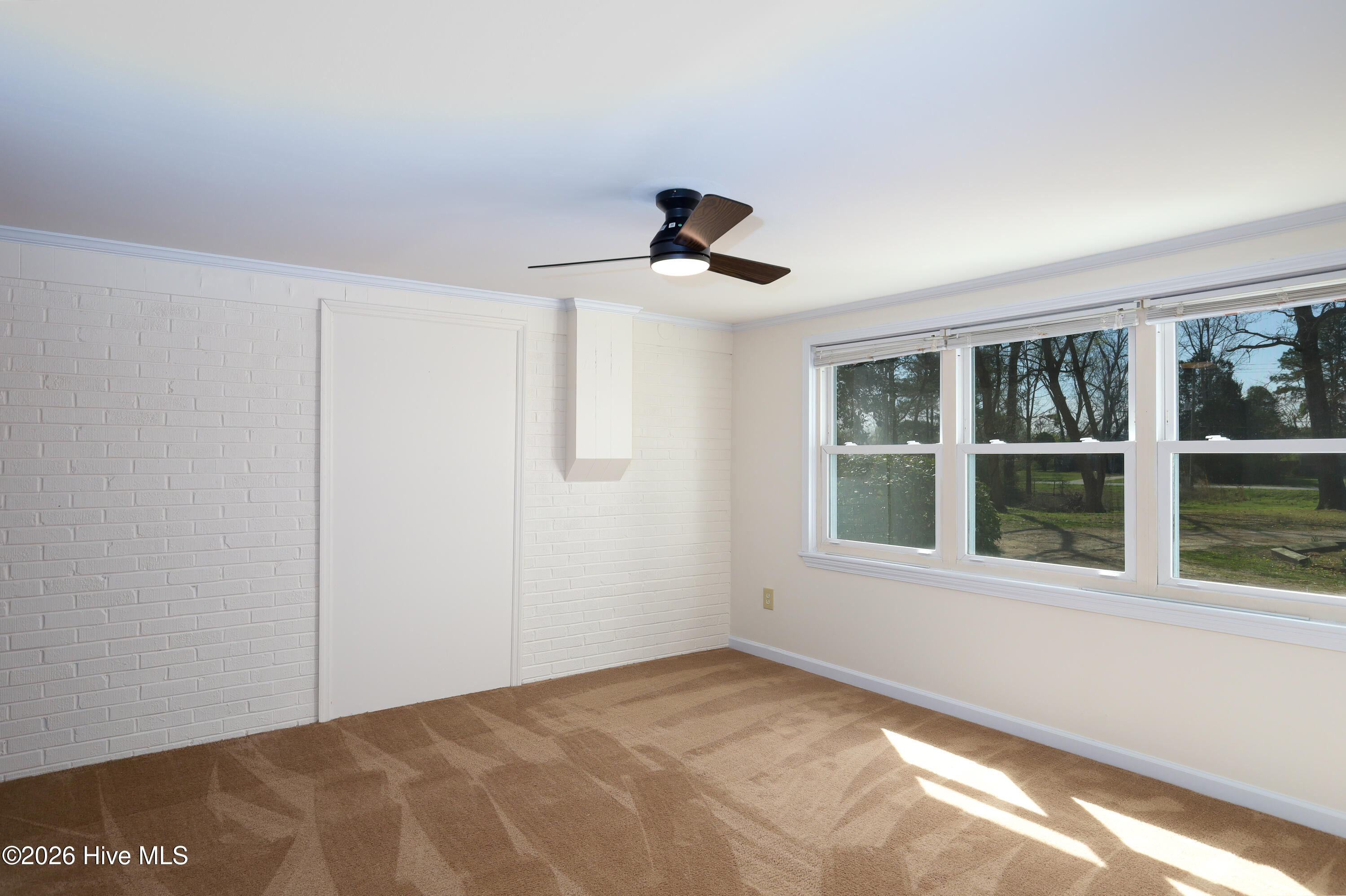 100567809 | Photo 17