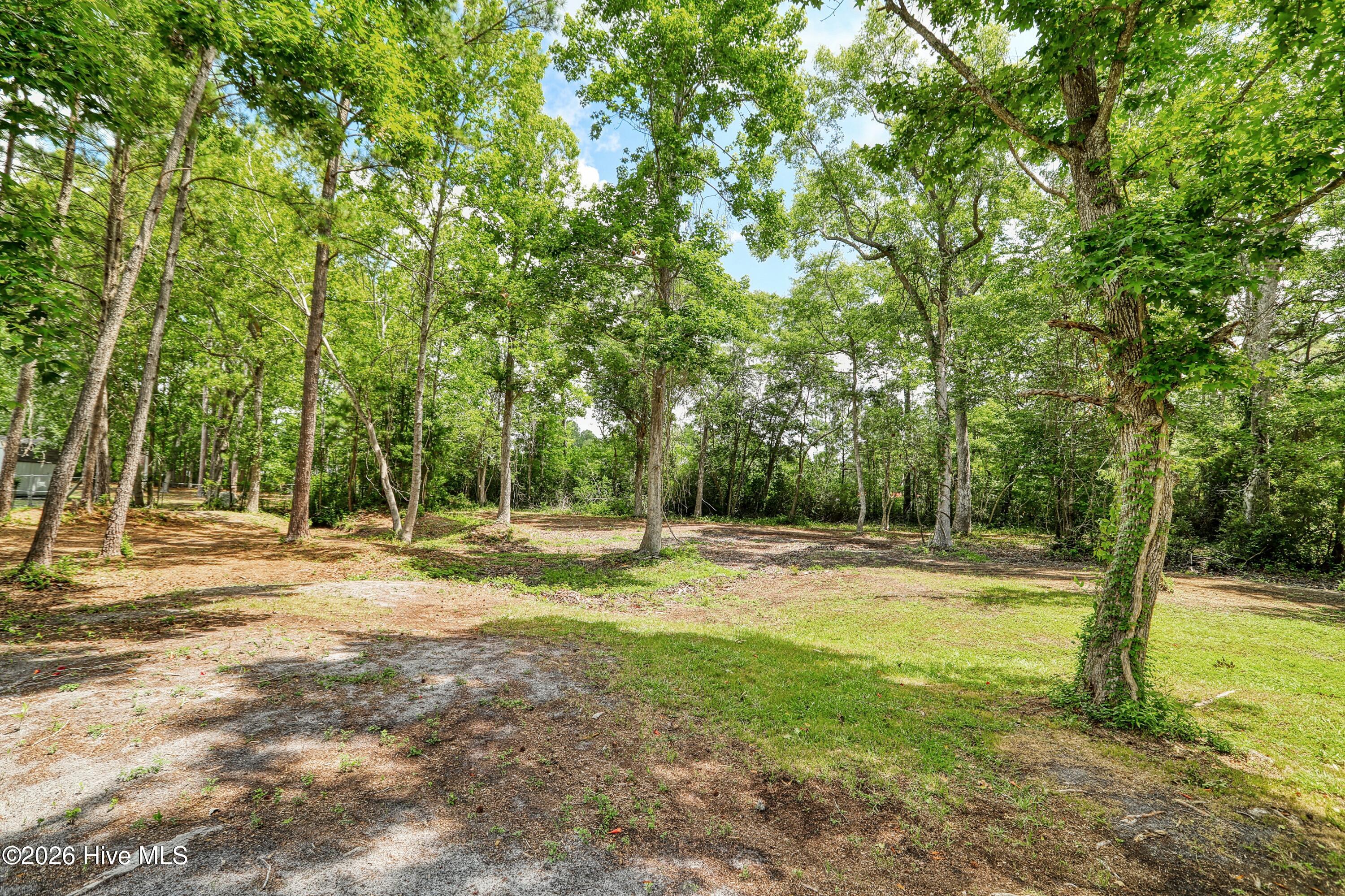 100568147 | Photo 36