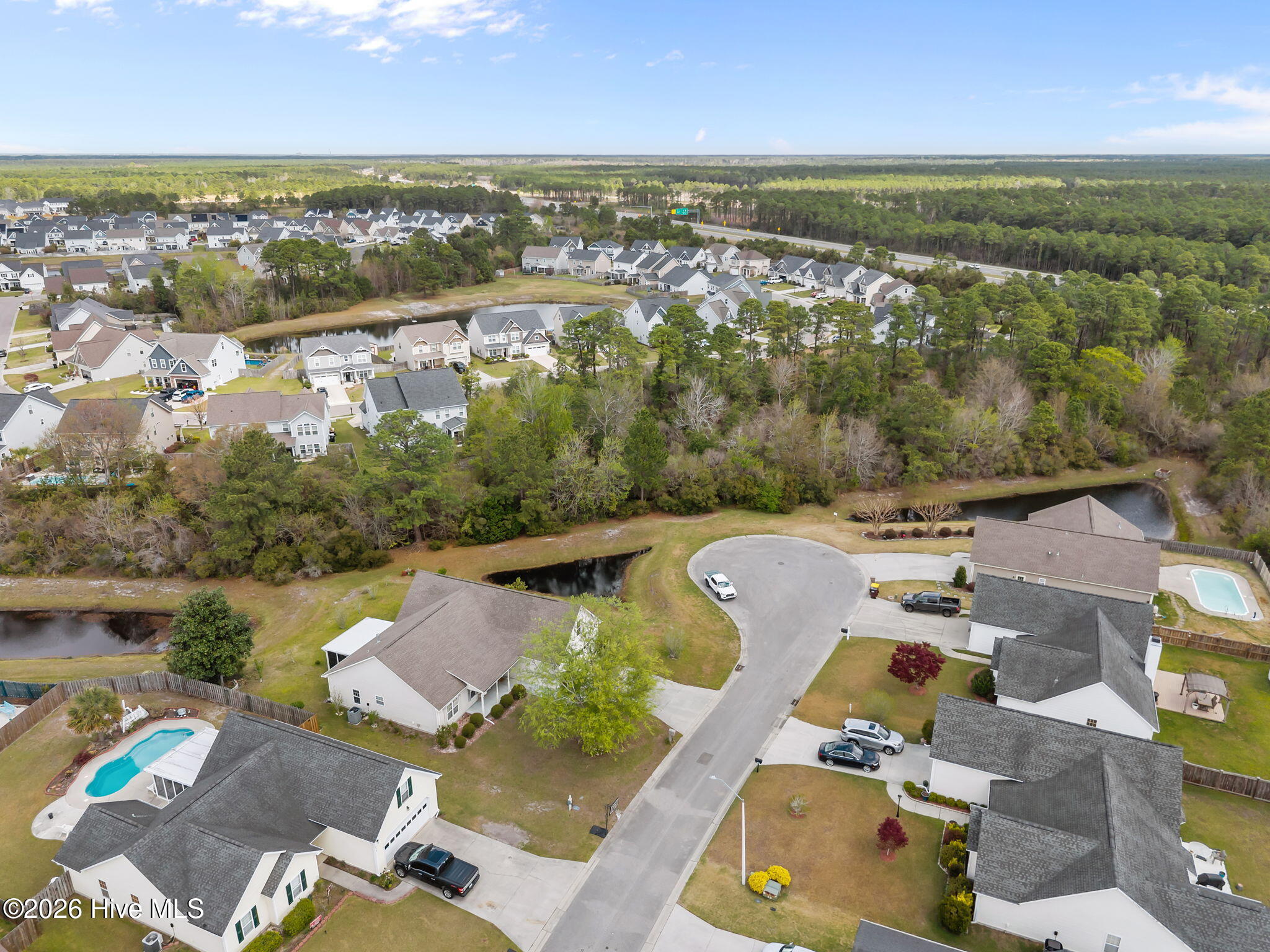 100565536 | Photo 43