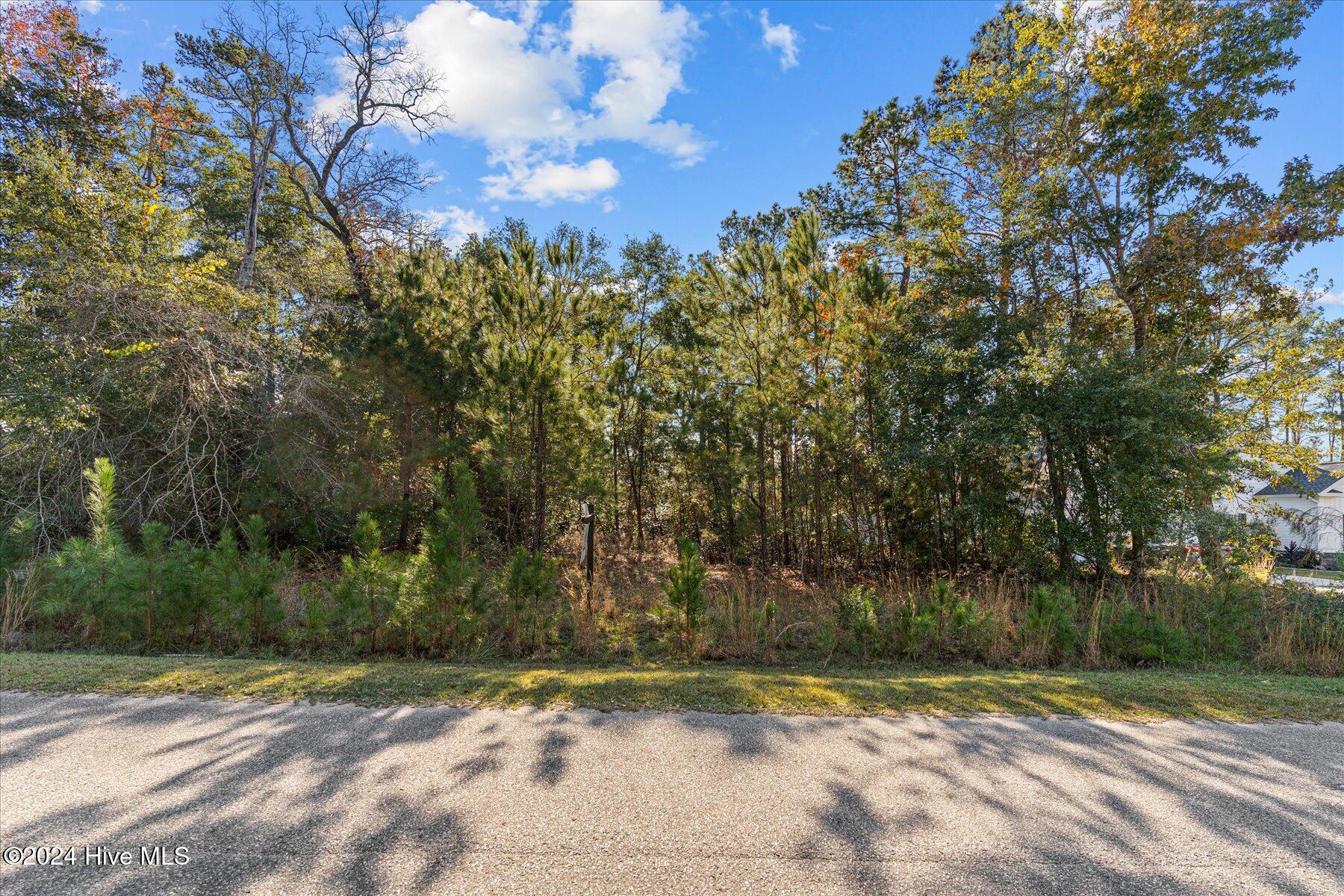 8963 Tranquility Lane SW, Sunset Beach, NC, 28468