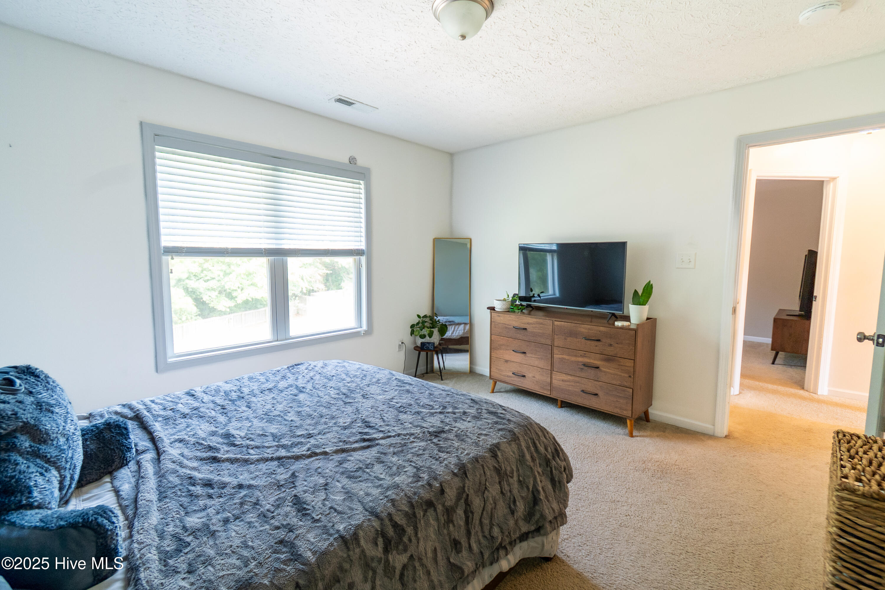 100528578 | Photo 25