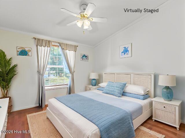 100563458 | Photo 26