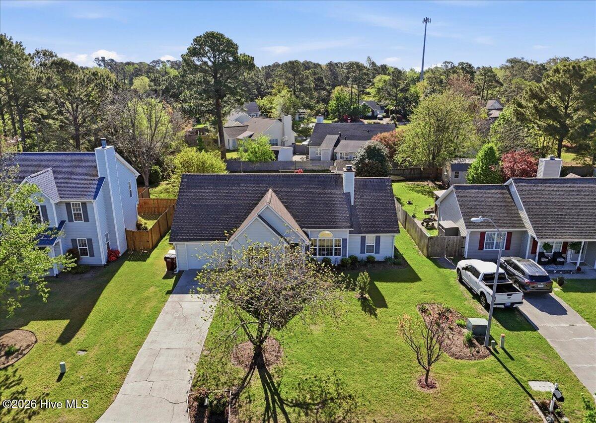 100565579 | Photo 68