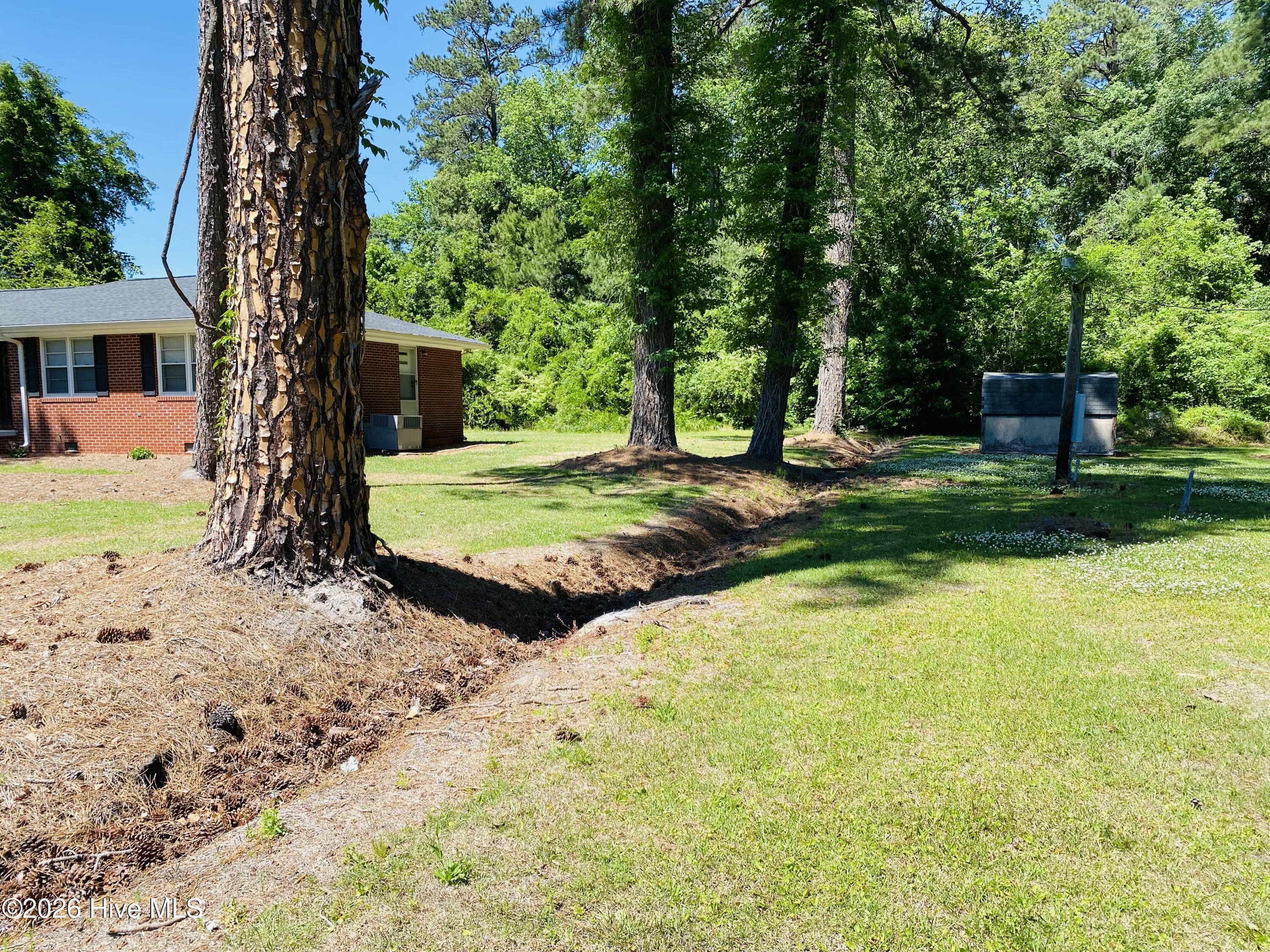 100569666 | Photo 16