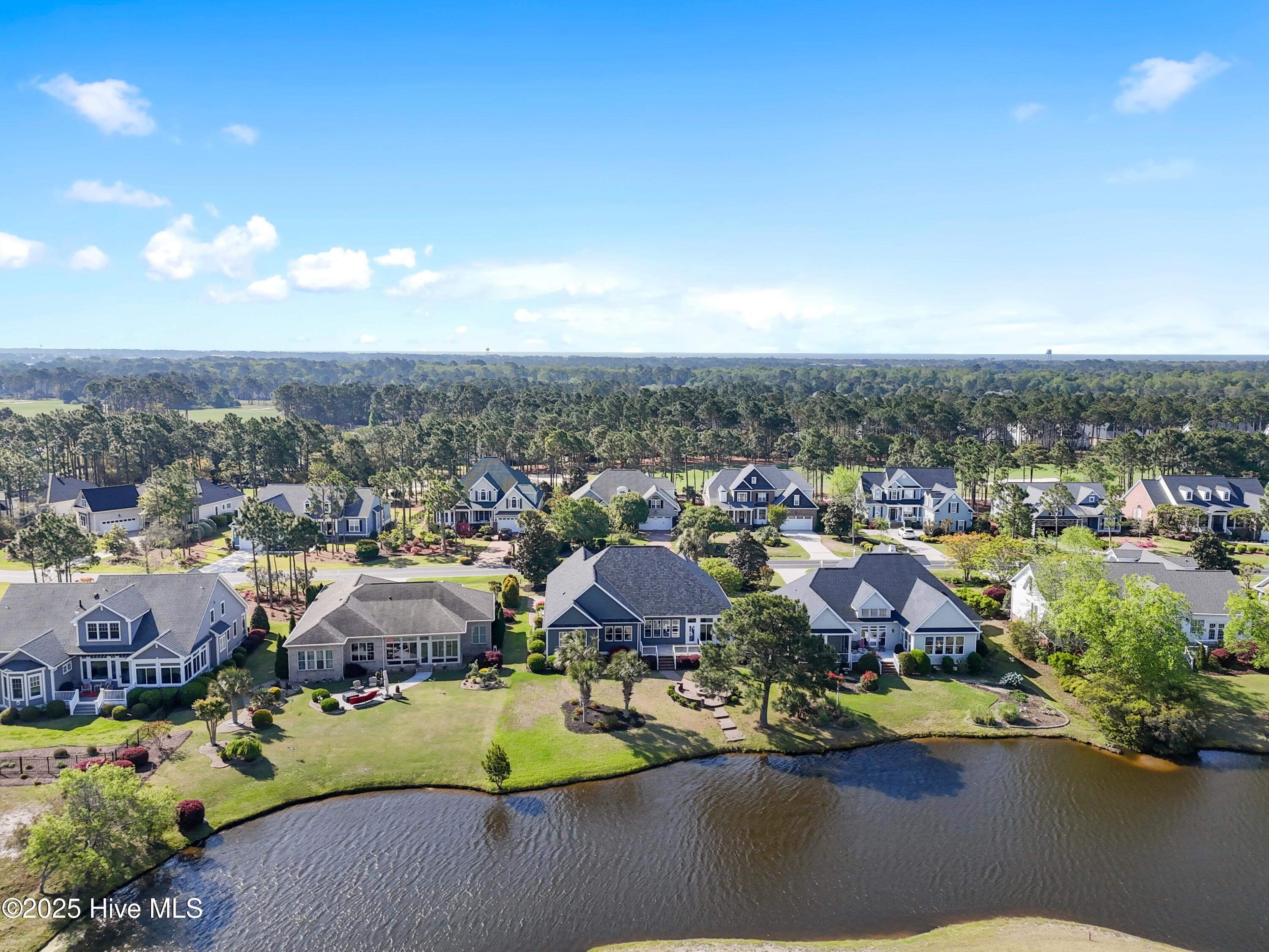 100504697 | Photo 50