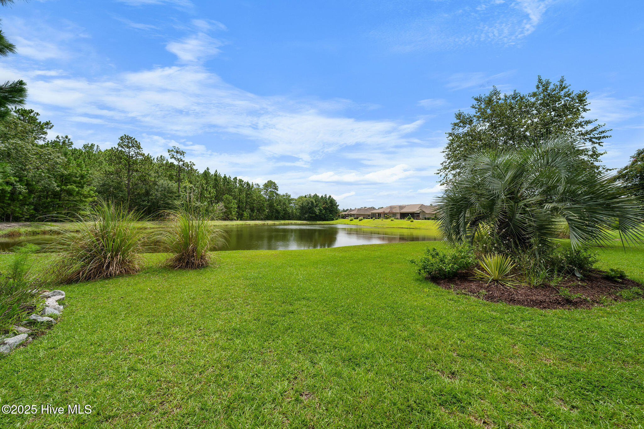 100524928 | Photo 12