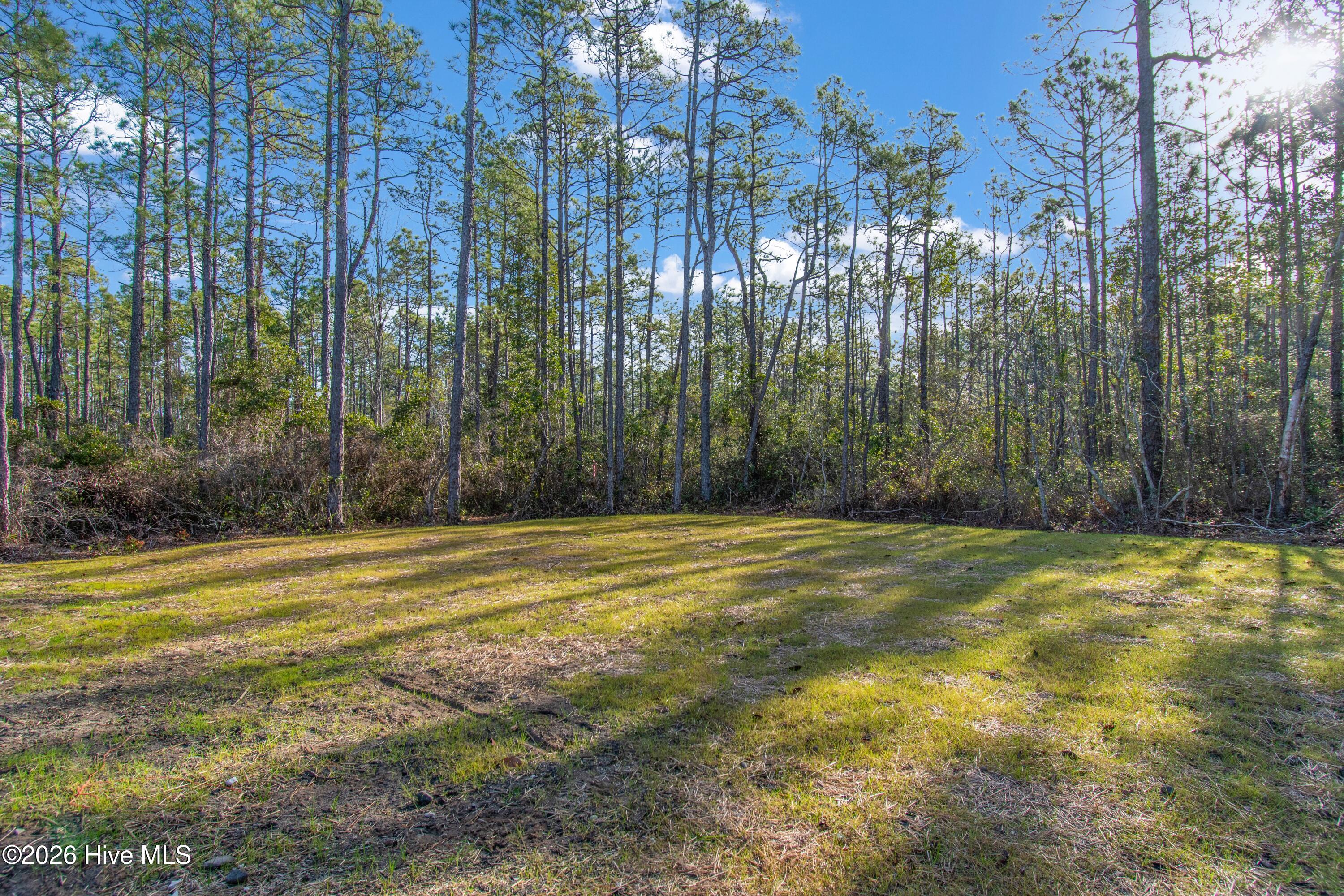 100548446 | Photo 37