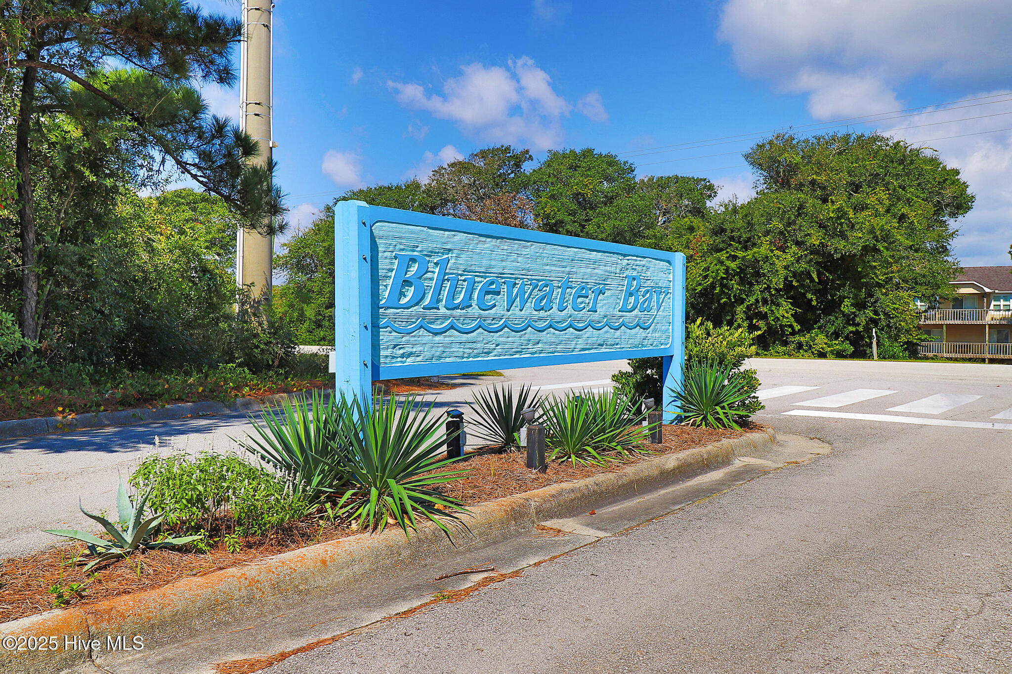 100533935 | Photo 38