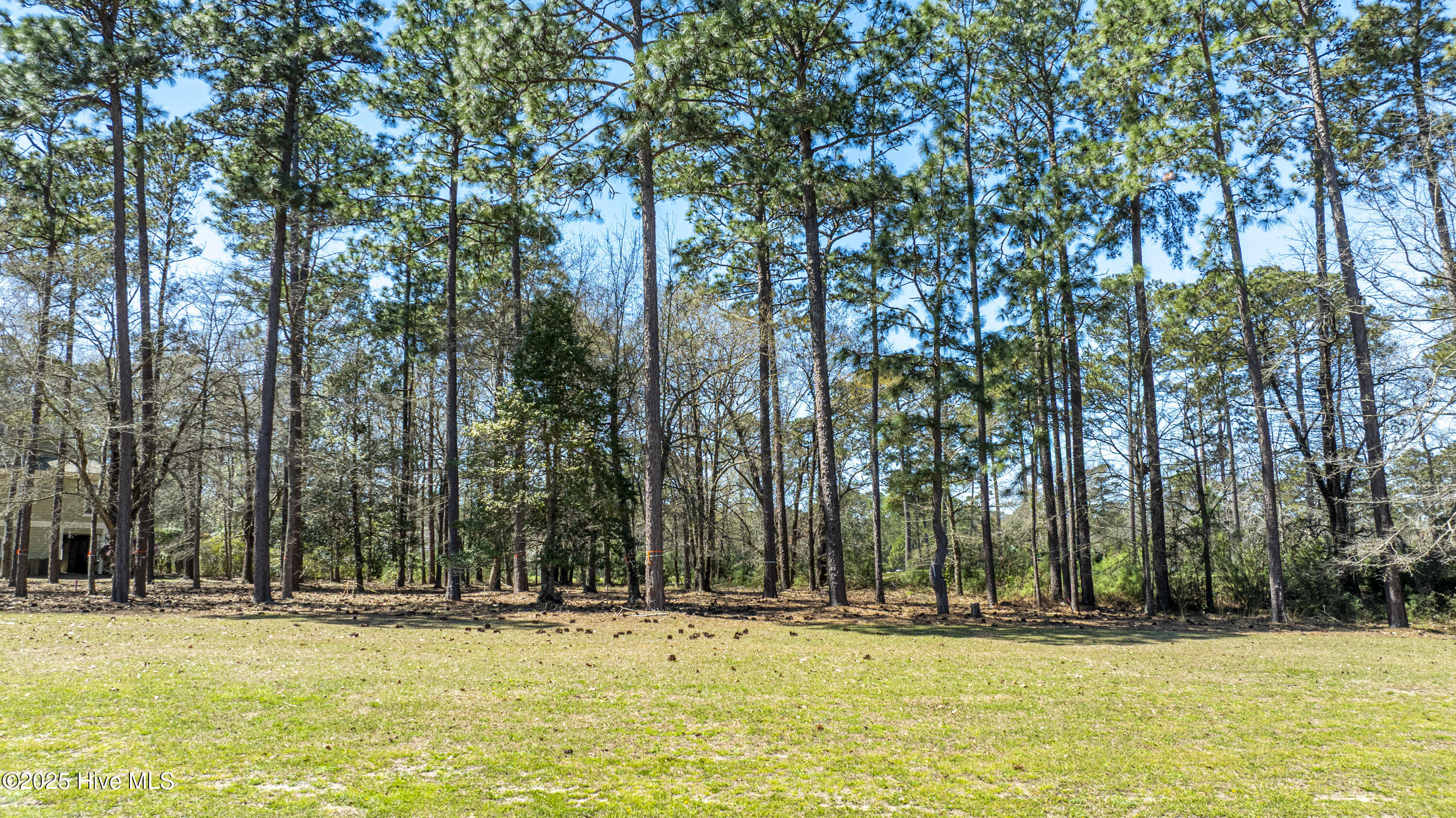 100498596 | Photo 13