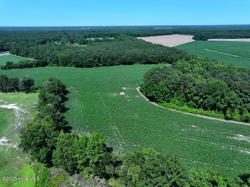 Homes for sale in Red Springs, NC | Tbd Hwy 71, Red Springs, NC 28377 | MLS# 100512614