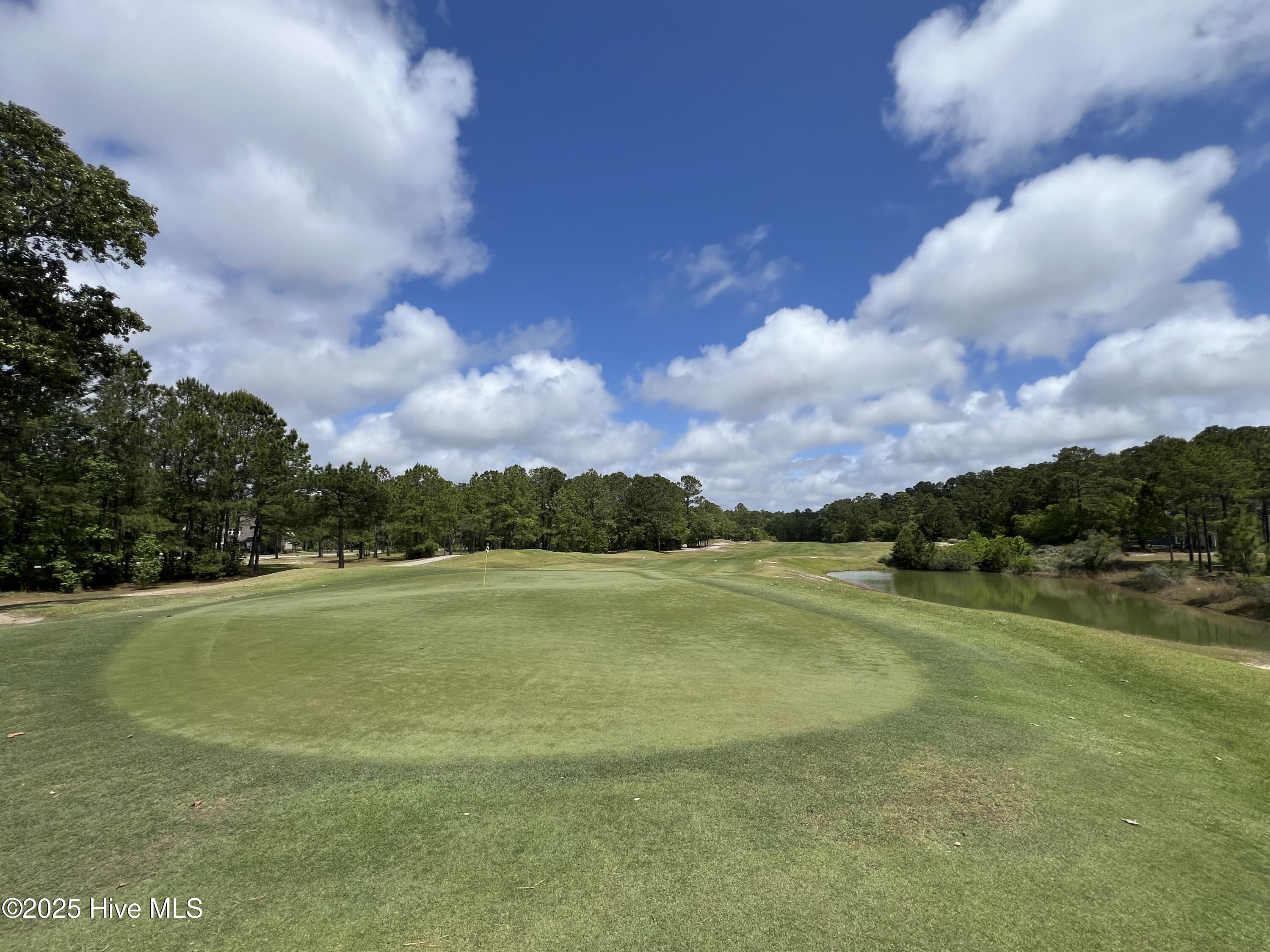 100509687 | Photo 37