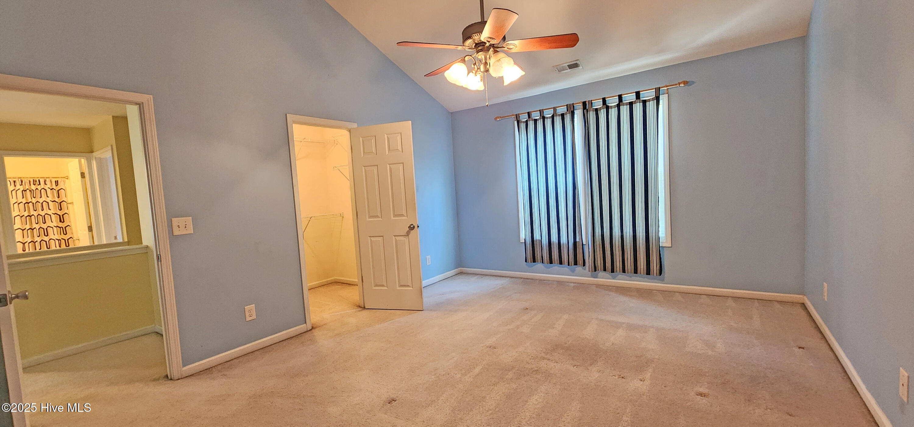 100530616 | Photo 11