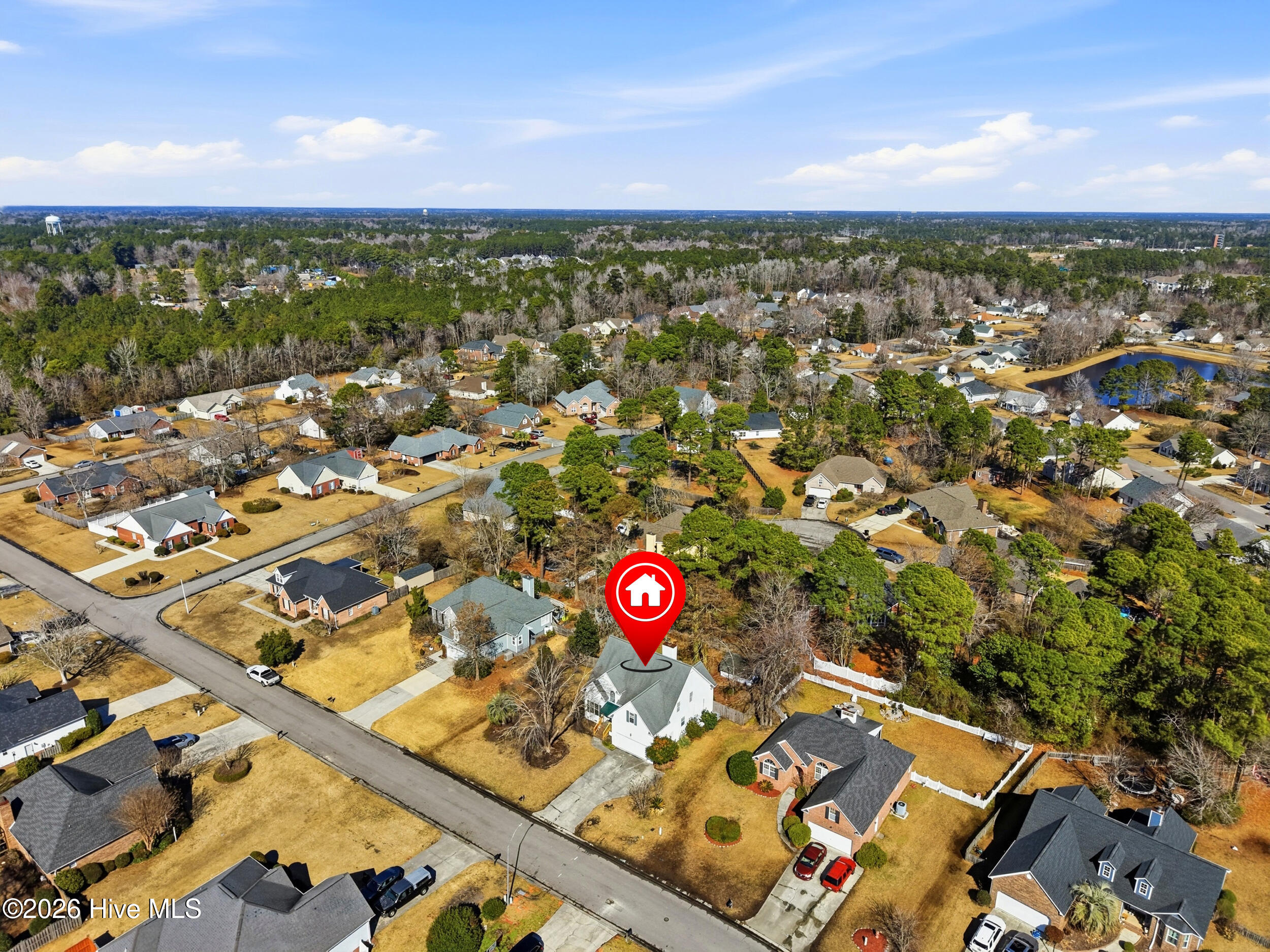 100553859 | Photo 43