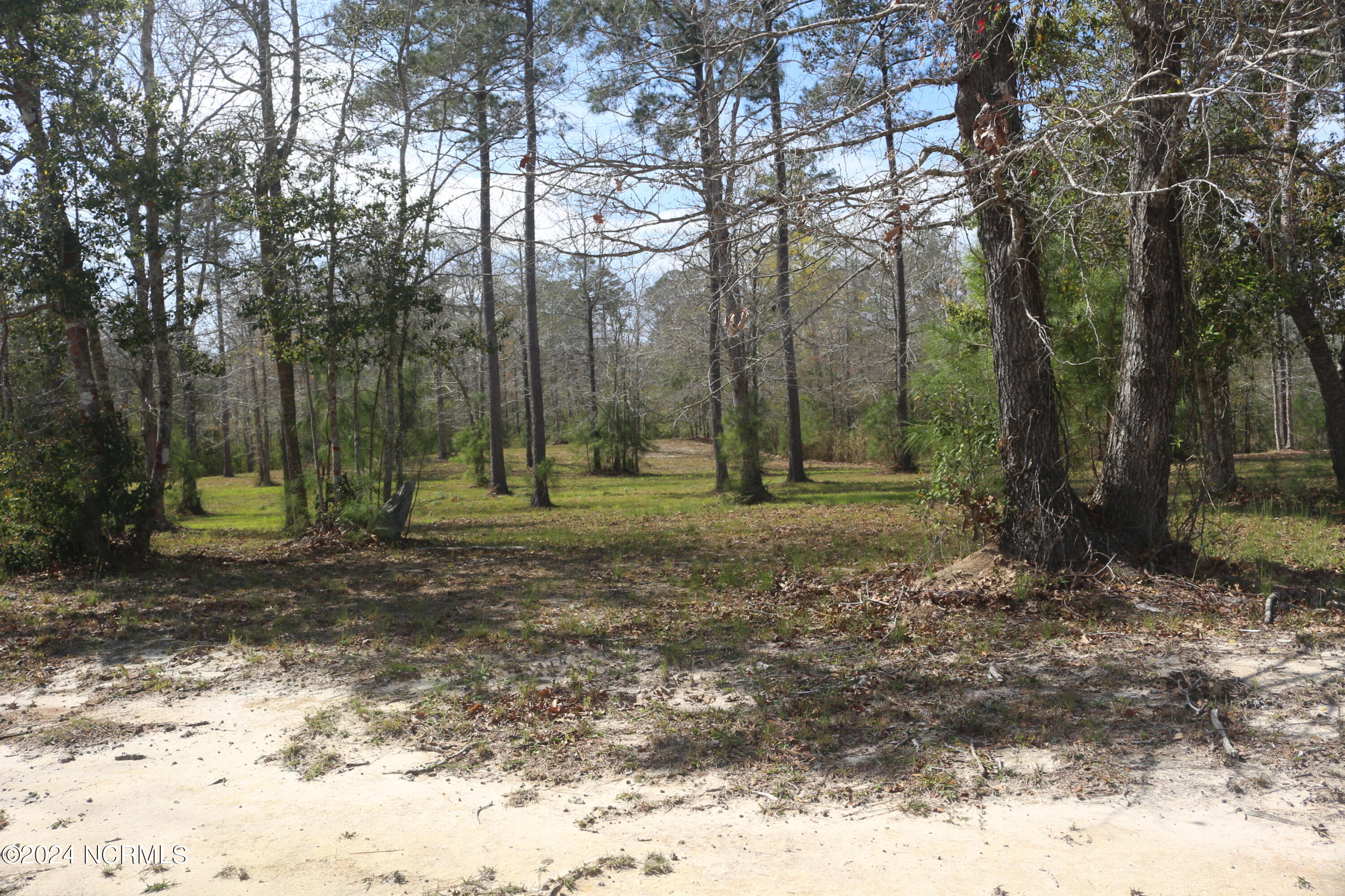 100533177 | Photo 23