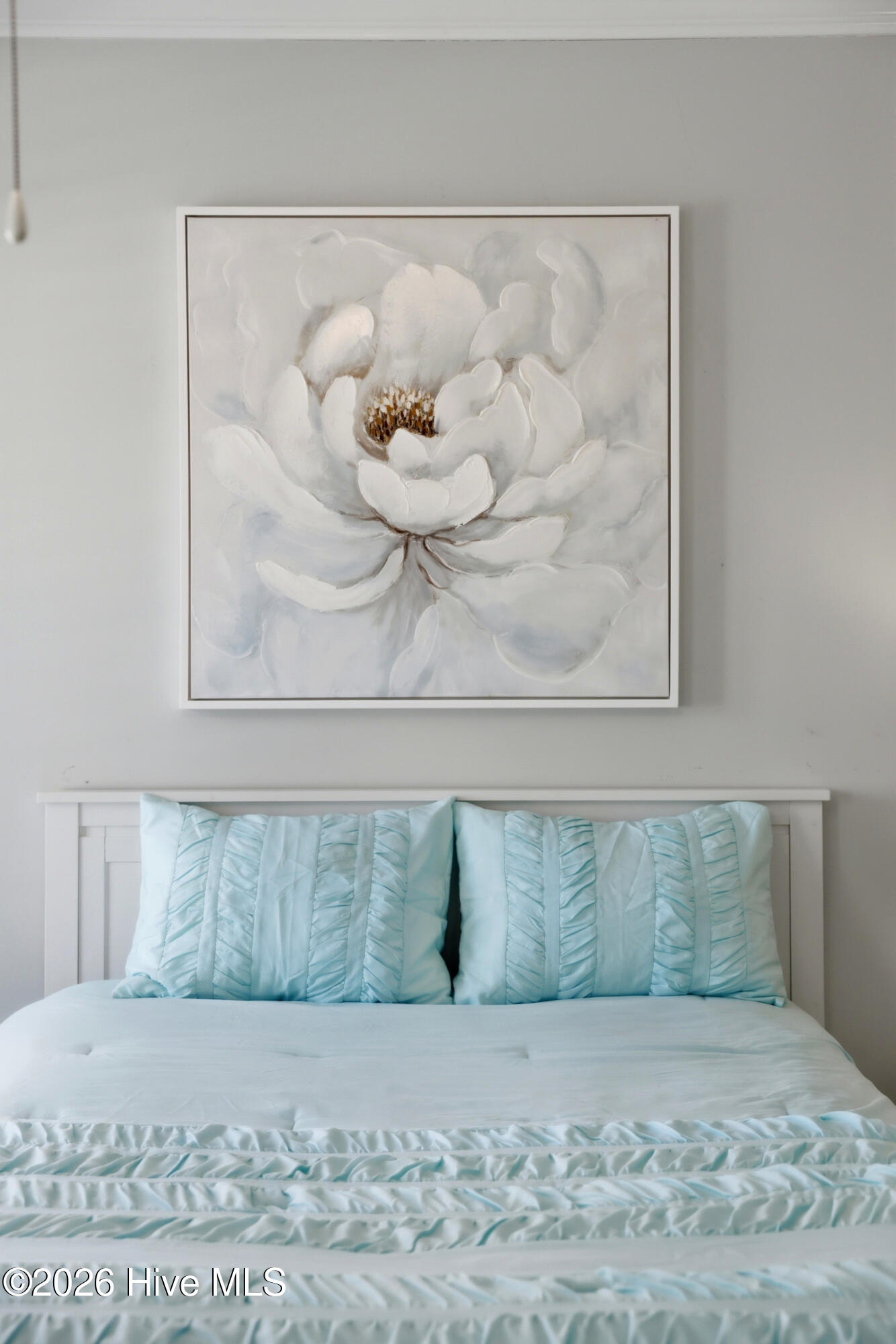 100559710 | Photo 38