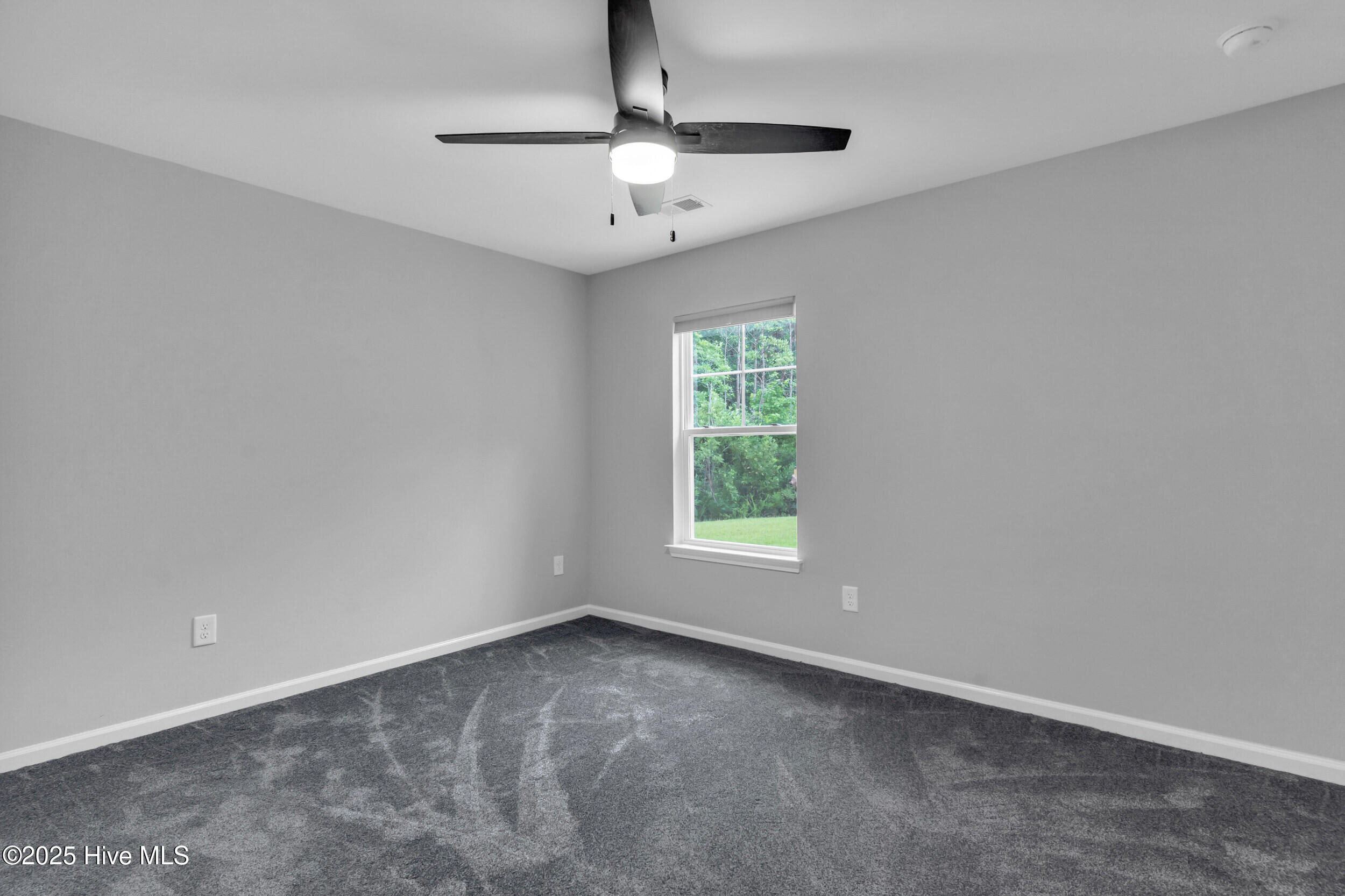 100514304 | Photo 22