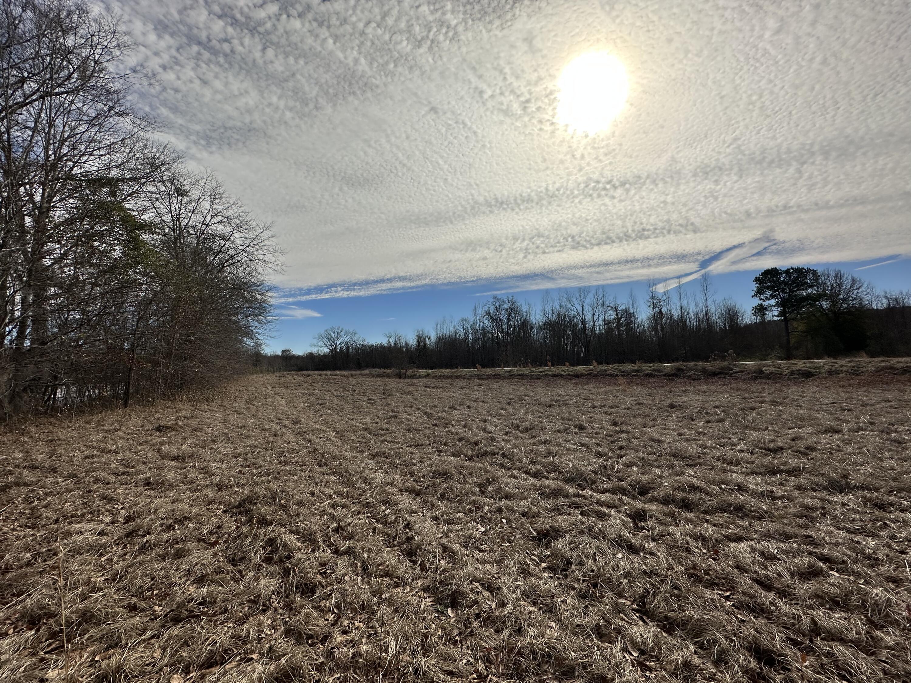 Homes for sale in Waynesboro, GA | 383 Rivers Run, Waynesboro, GA 30830 | MLS# 510429