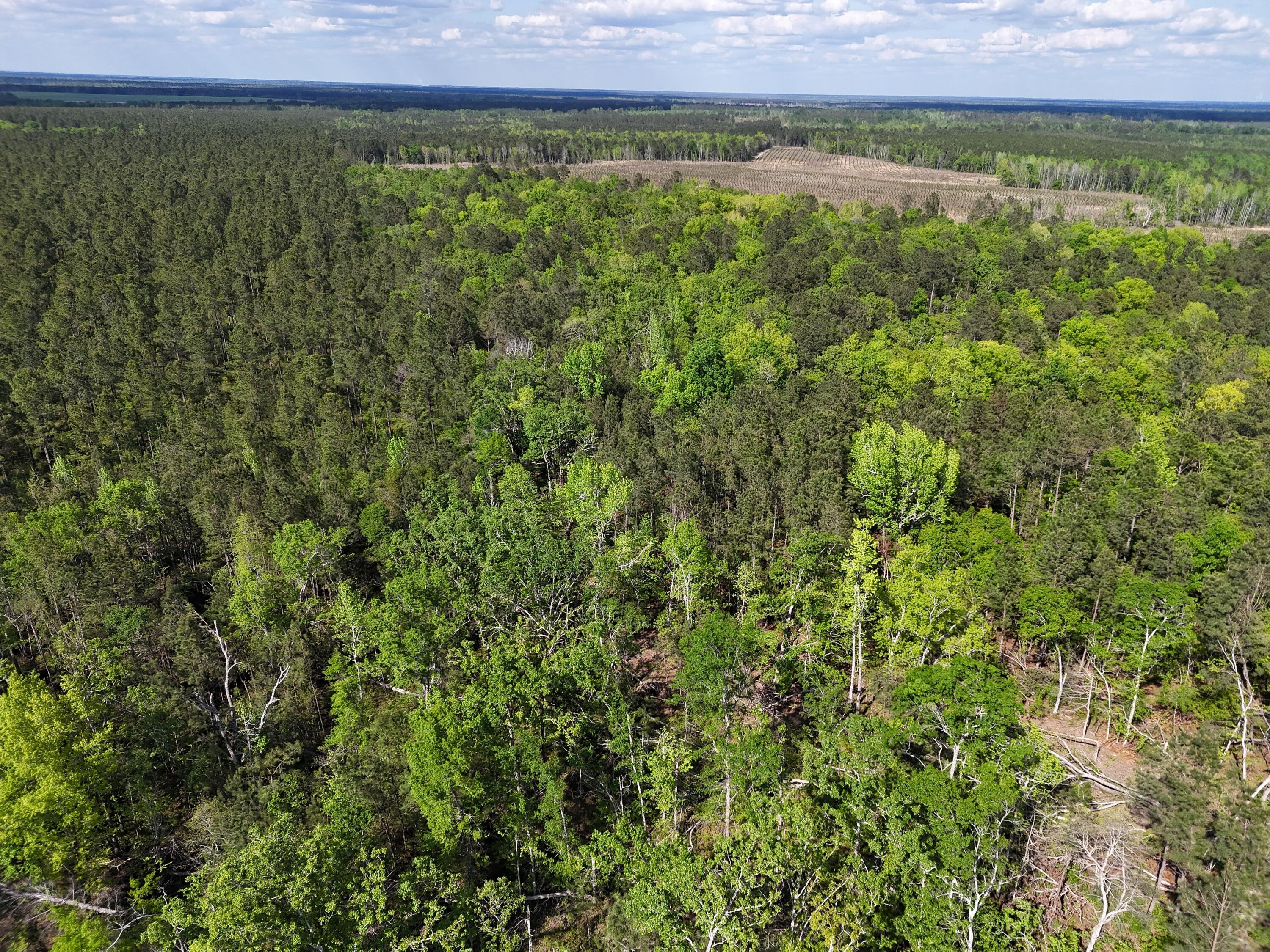 DJI_20250410044100_0025_D