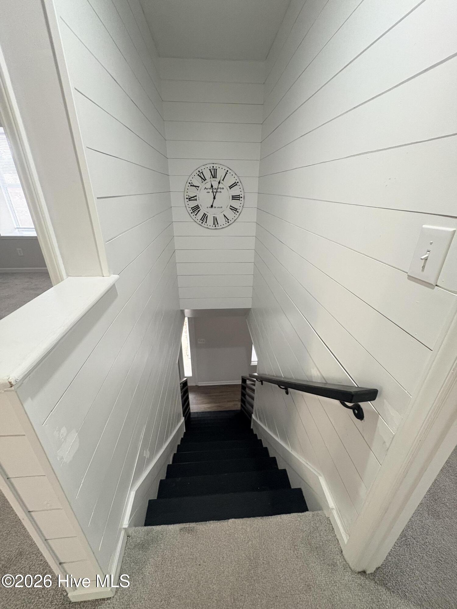 100537182 | Photo 19