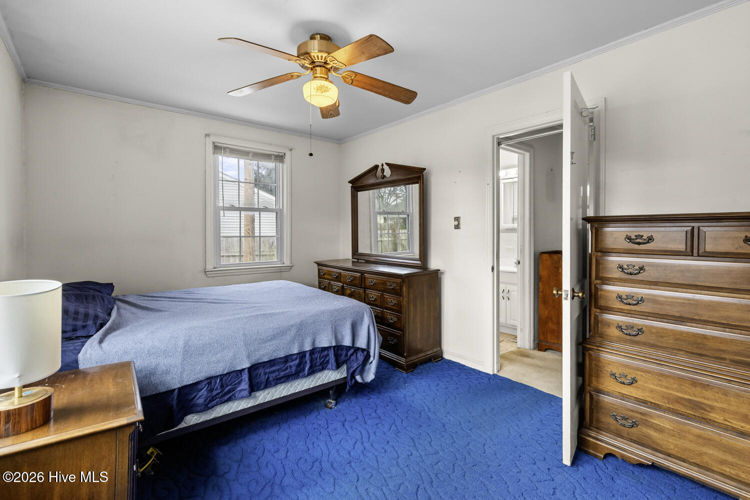 100549586 | Photo 10