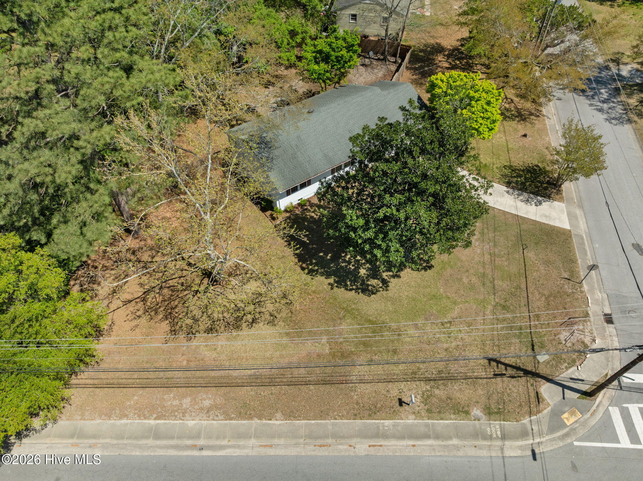 100562753 | Photo 47