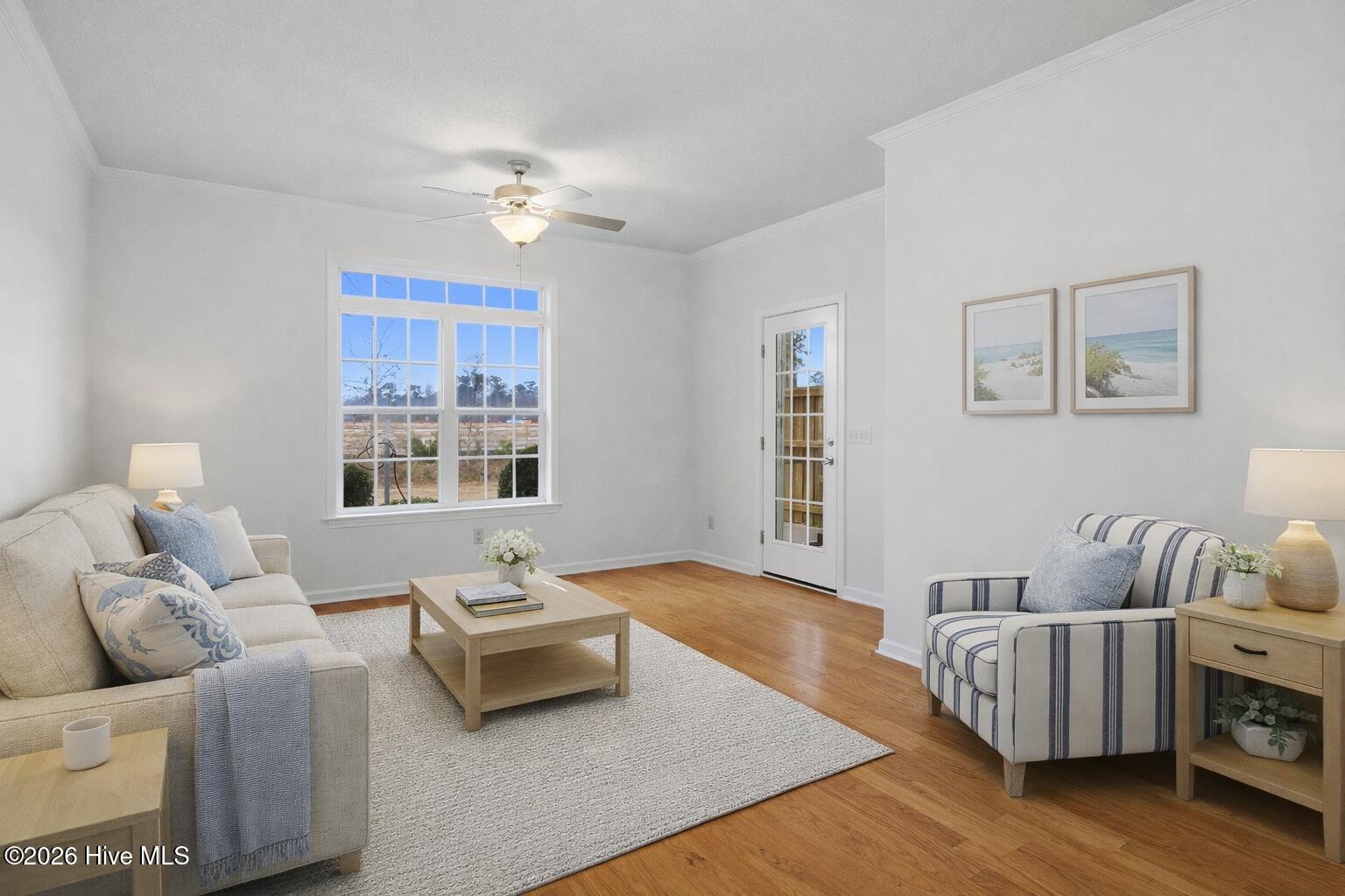 100554409 | Photo 17