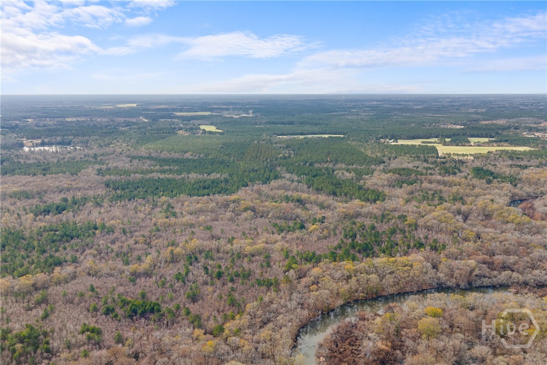 1000 Old River Road S, Brooklet, GA, 30415