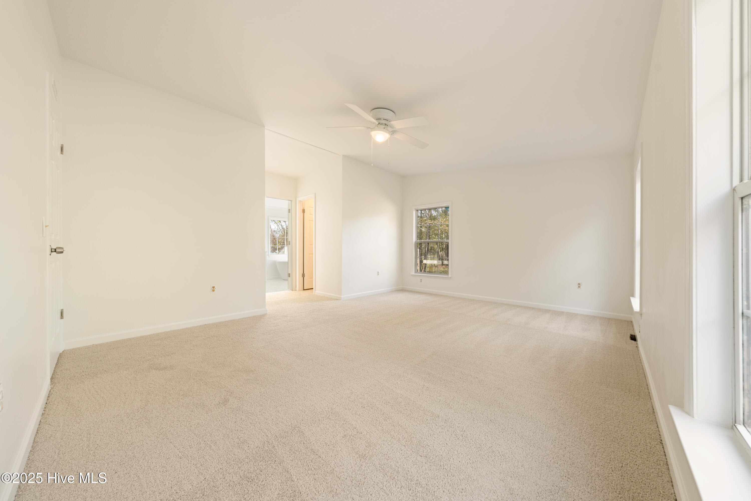 100541471 | Photo 18