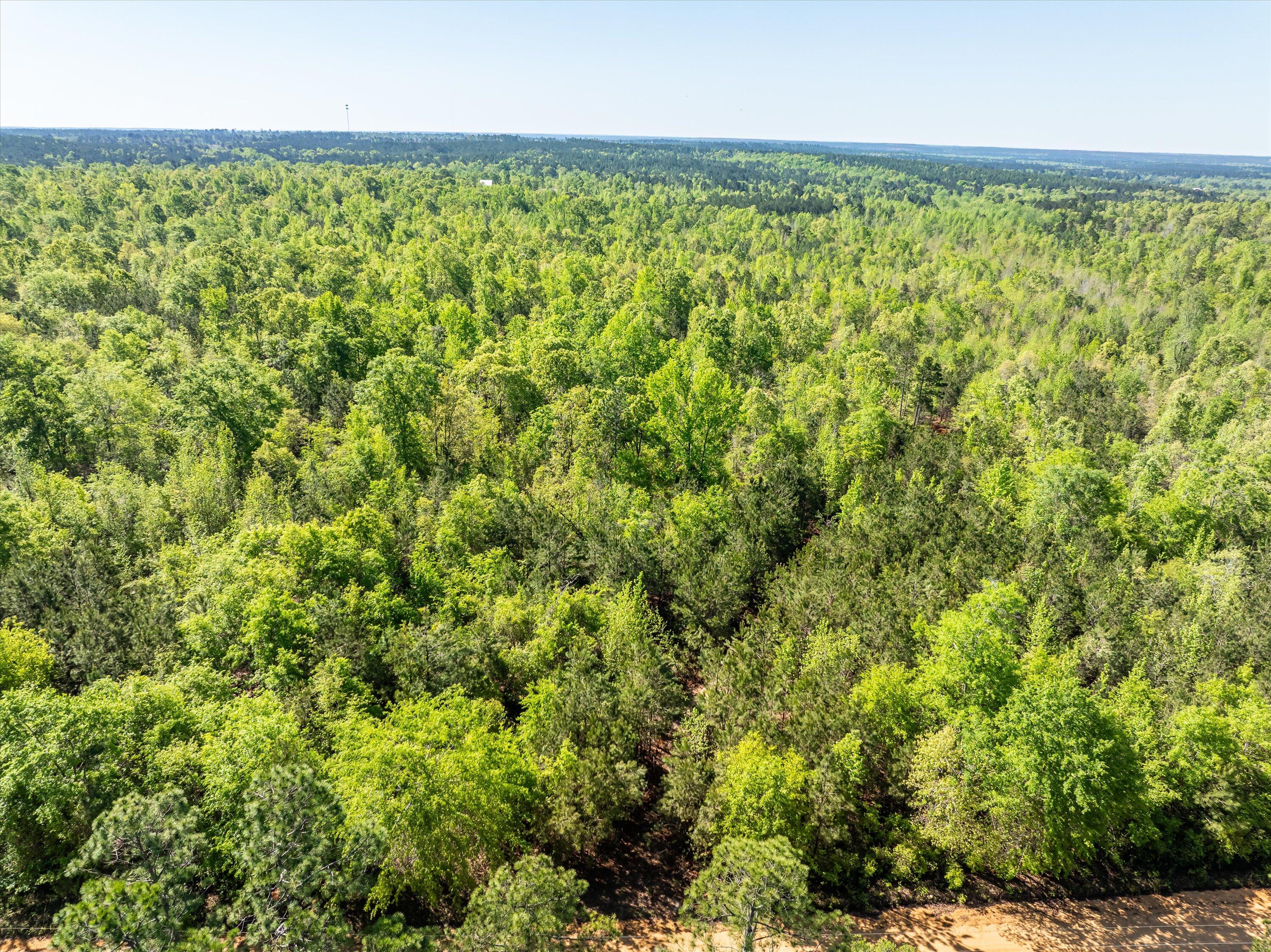 02-DJI_0632-HDR