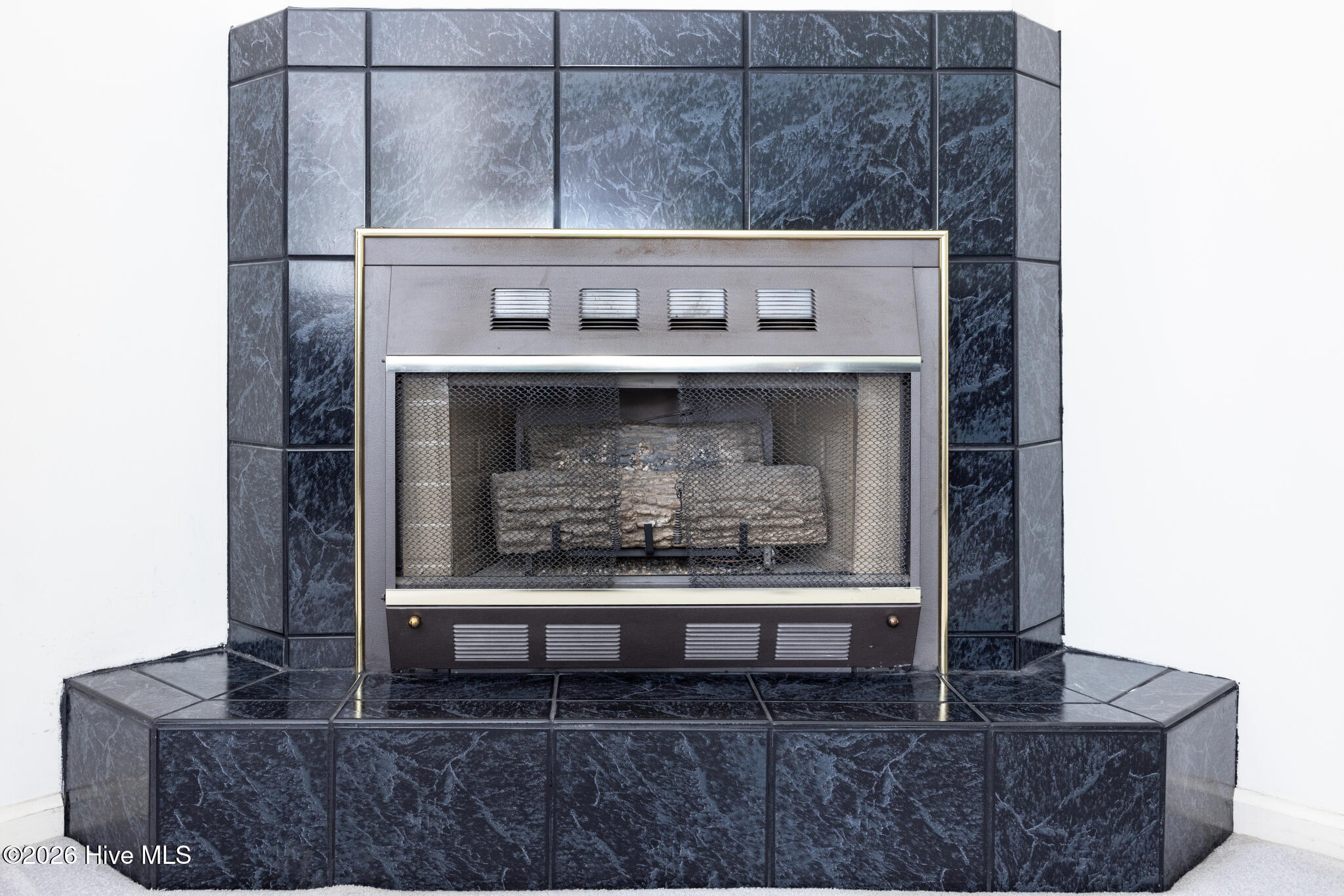 100547125 | Photo 15