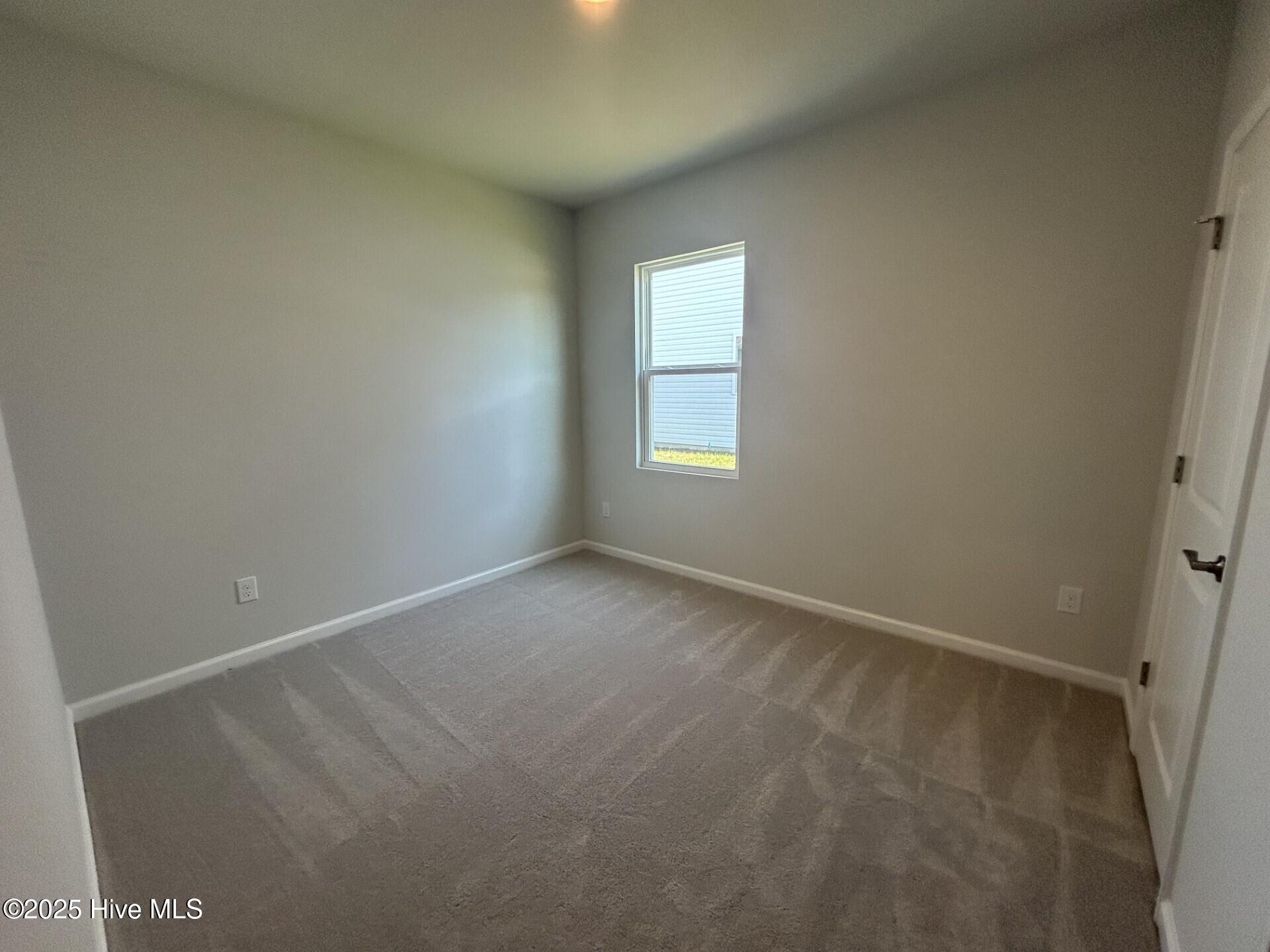 100513177 | Photo 21