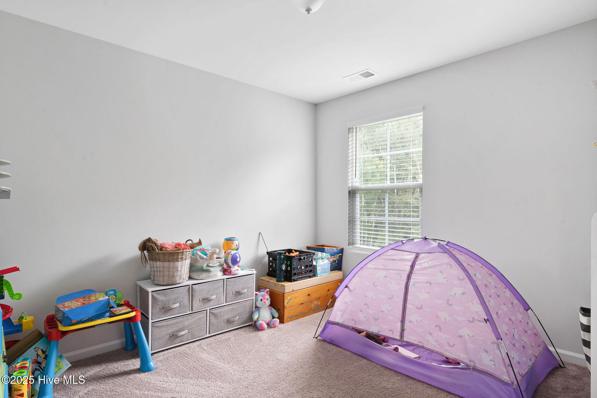 100534531 | Photo 26