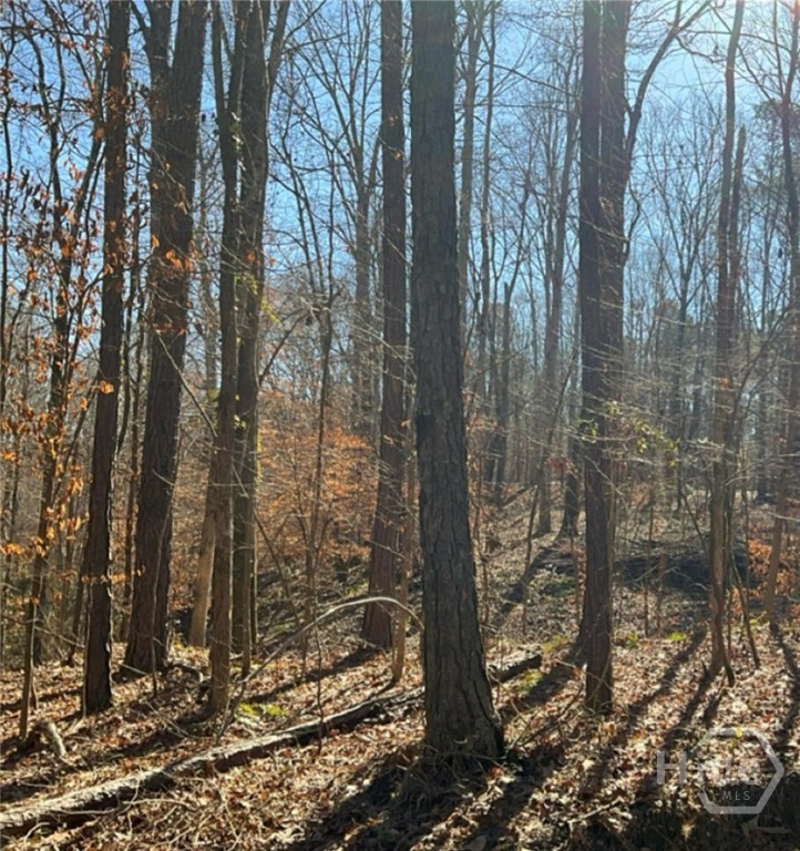 Homes for sale in Thomson, GA | 0 Long Leaf Dr, Thomson, GA 30824 | MLS# SA339298