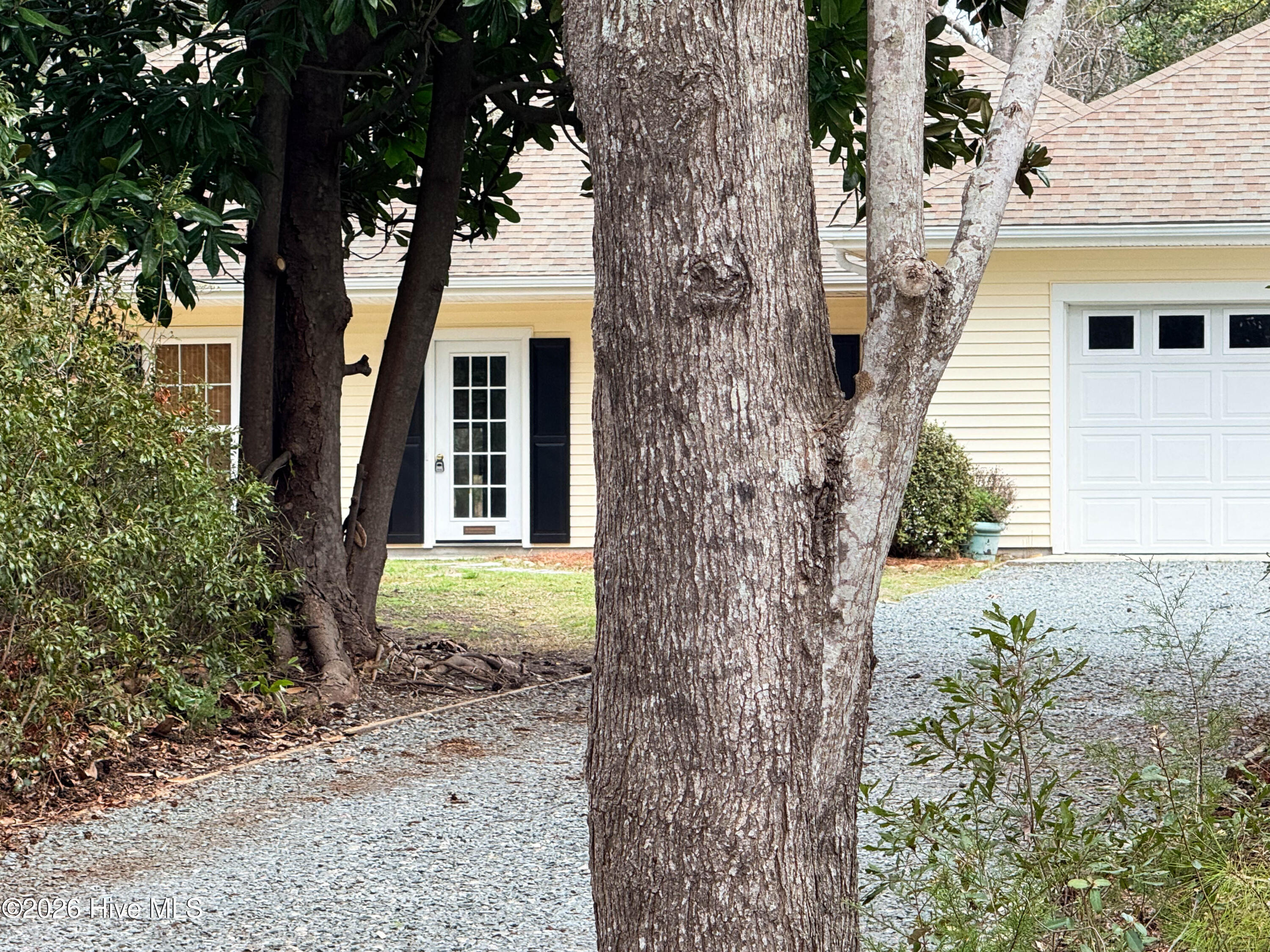 100562741 | Photo 54