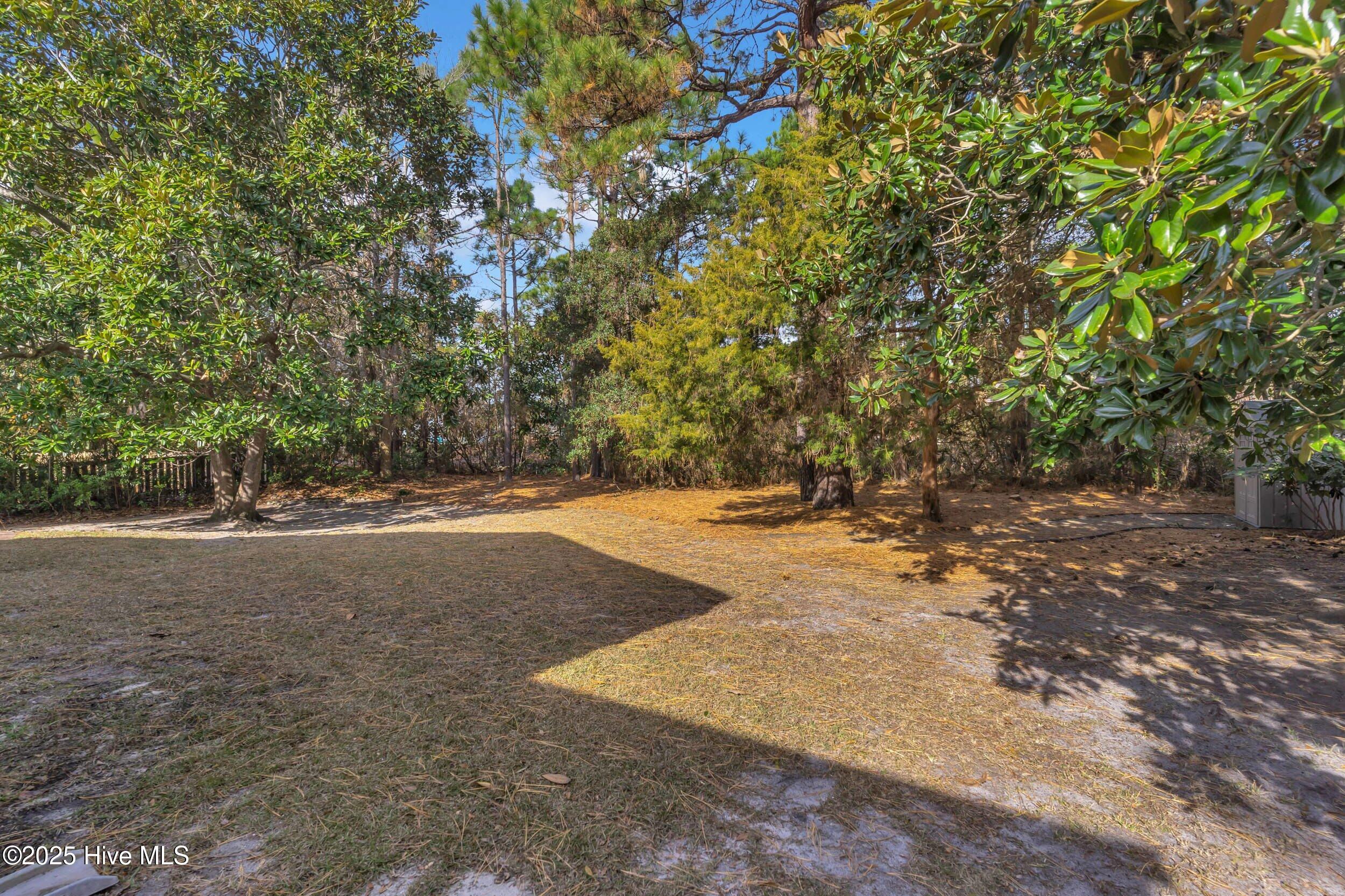 100546035 | Photo 31