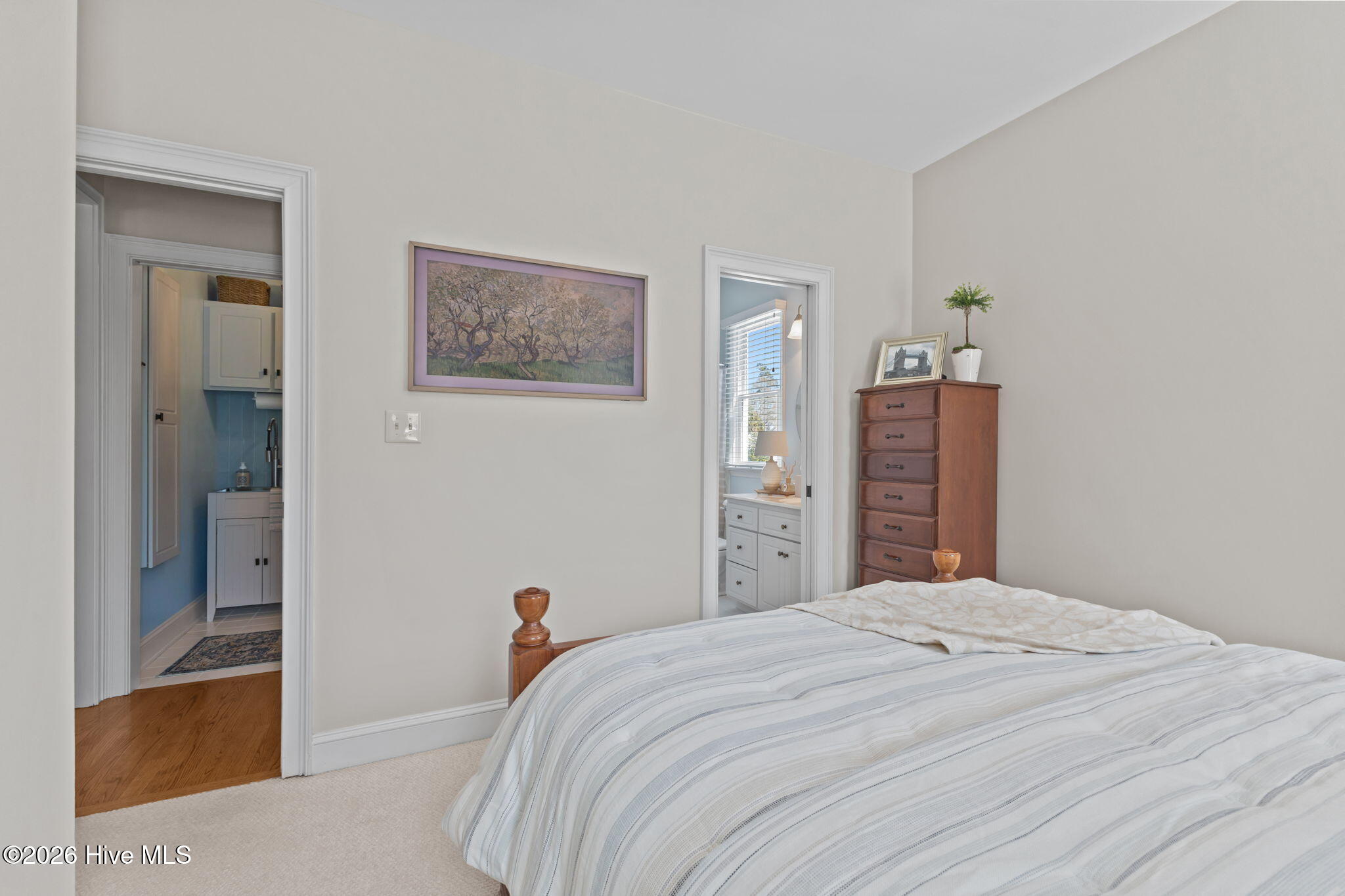 100564059 | Photo 29