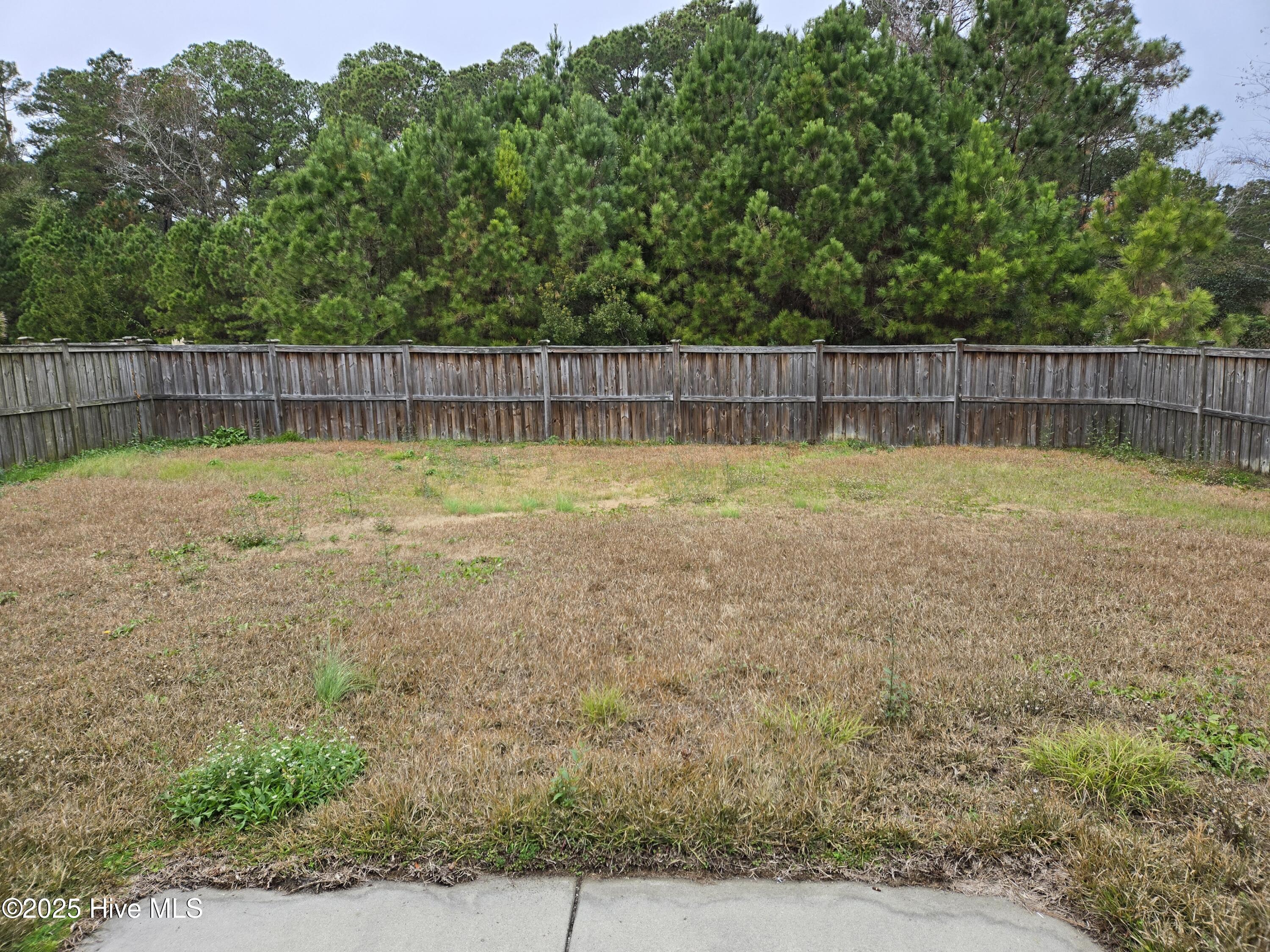 100544610 | Photo 19