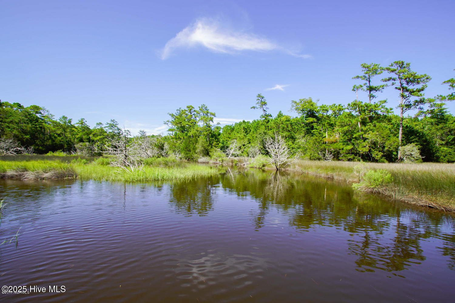 100539610 | Photo 12