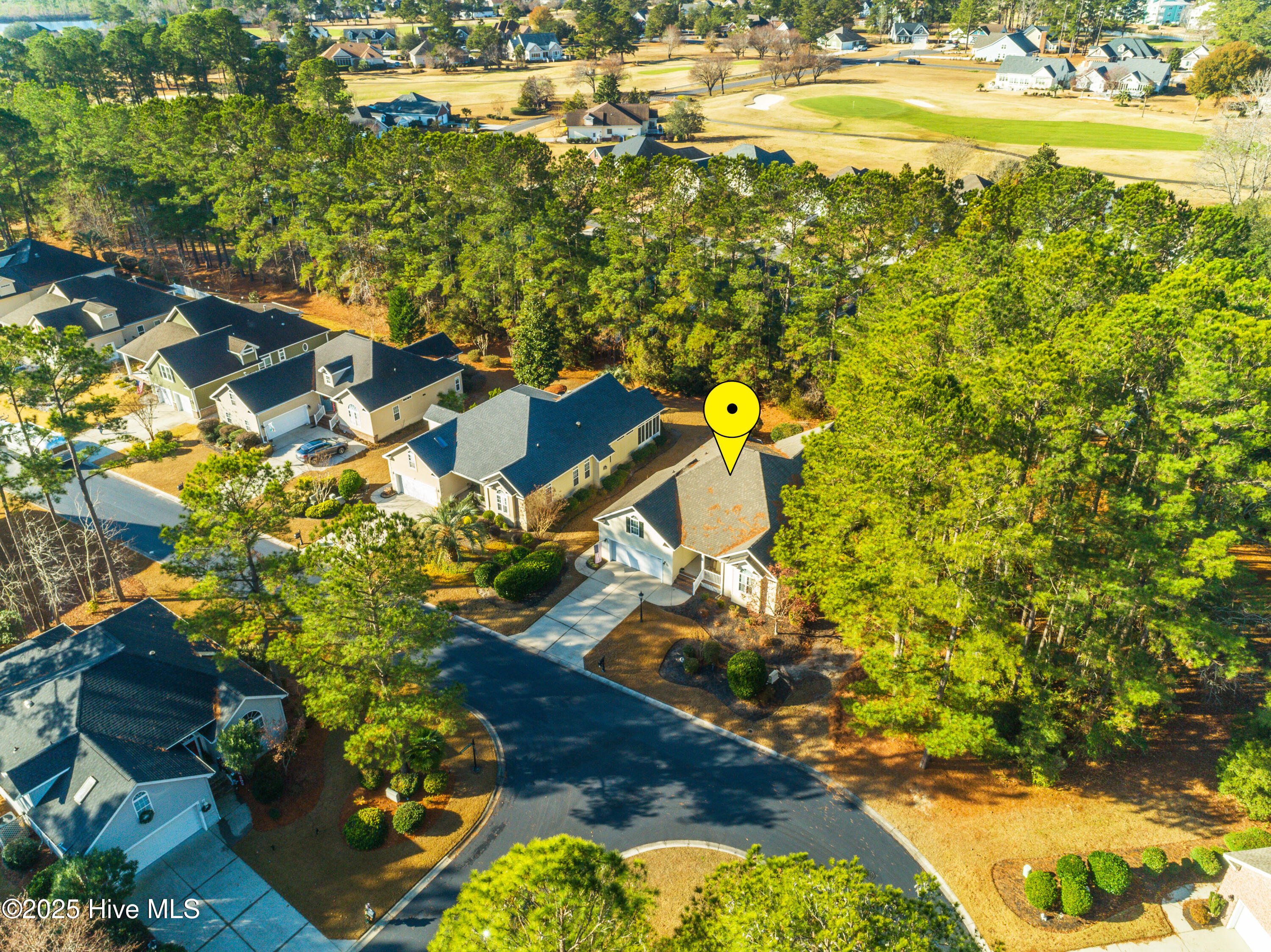 100547083 | Photo 32