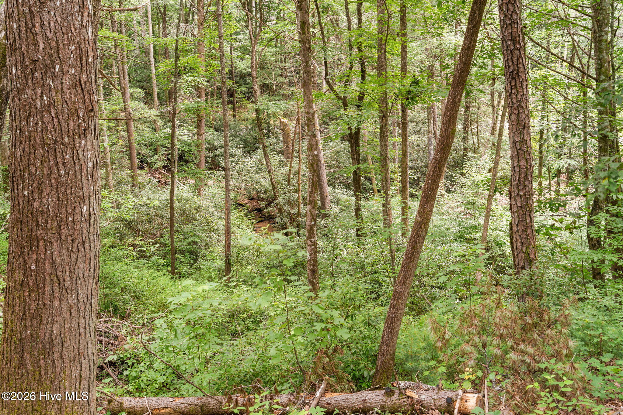 Exterior photo of 910 Laurel Branch Road, Murphy, NC 28906. MLS: 100590437