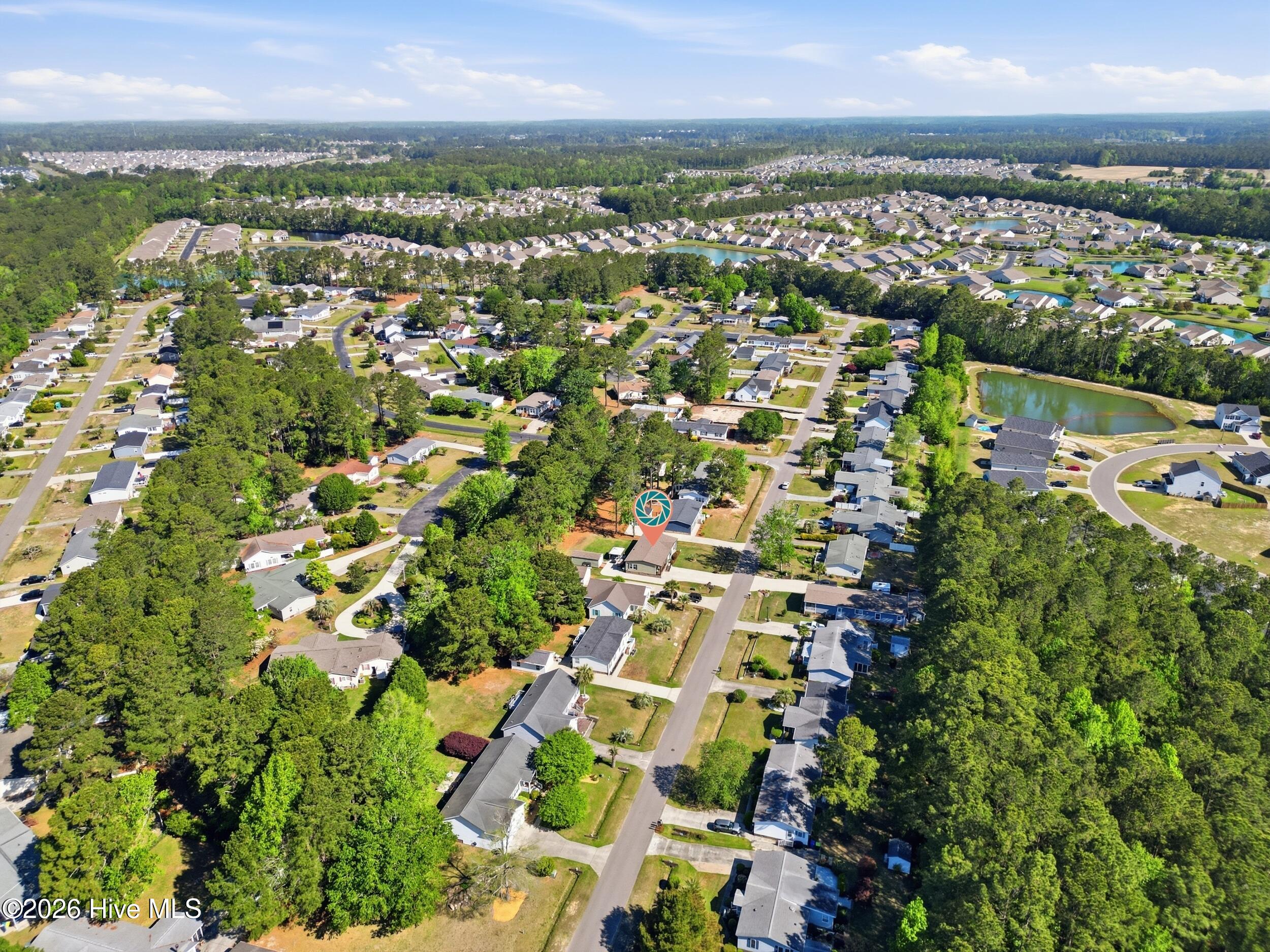 100567202 | Photo 45