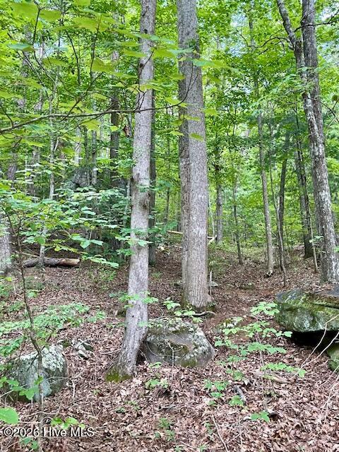 image5